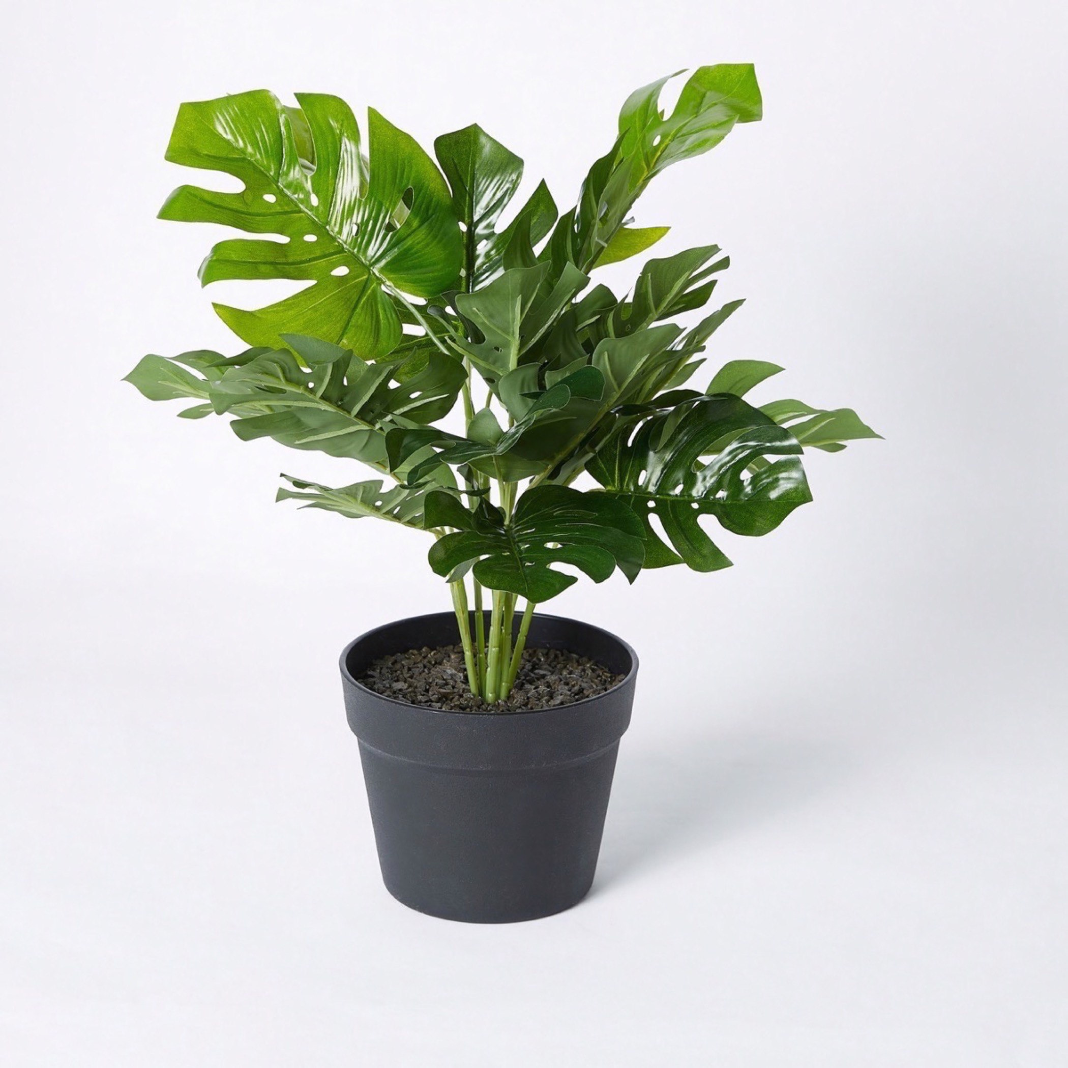 Livia Monstera Small Plant in Pot - 55 cm-hbxdecorandfurnishings-homeaccessories-artificialflowersandplants-image-5