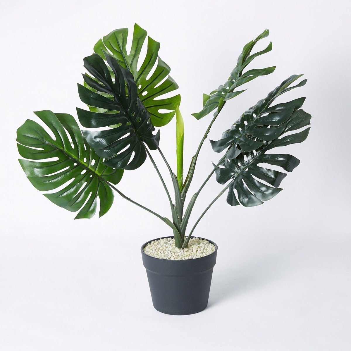 نبتة مونسترا صغيرة في إصيص من ليفيا - 70 سم-hbxdecorandfurnishings-homeaccessories-artificialflowersandplants-image-5