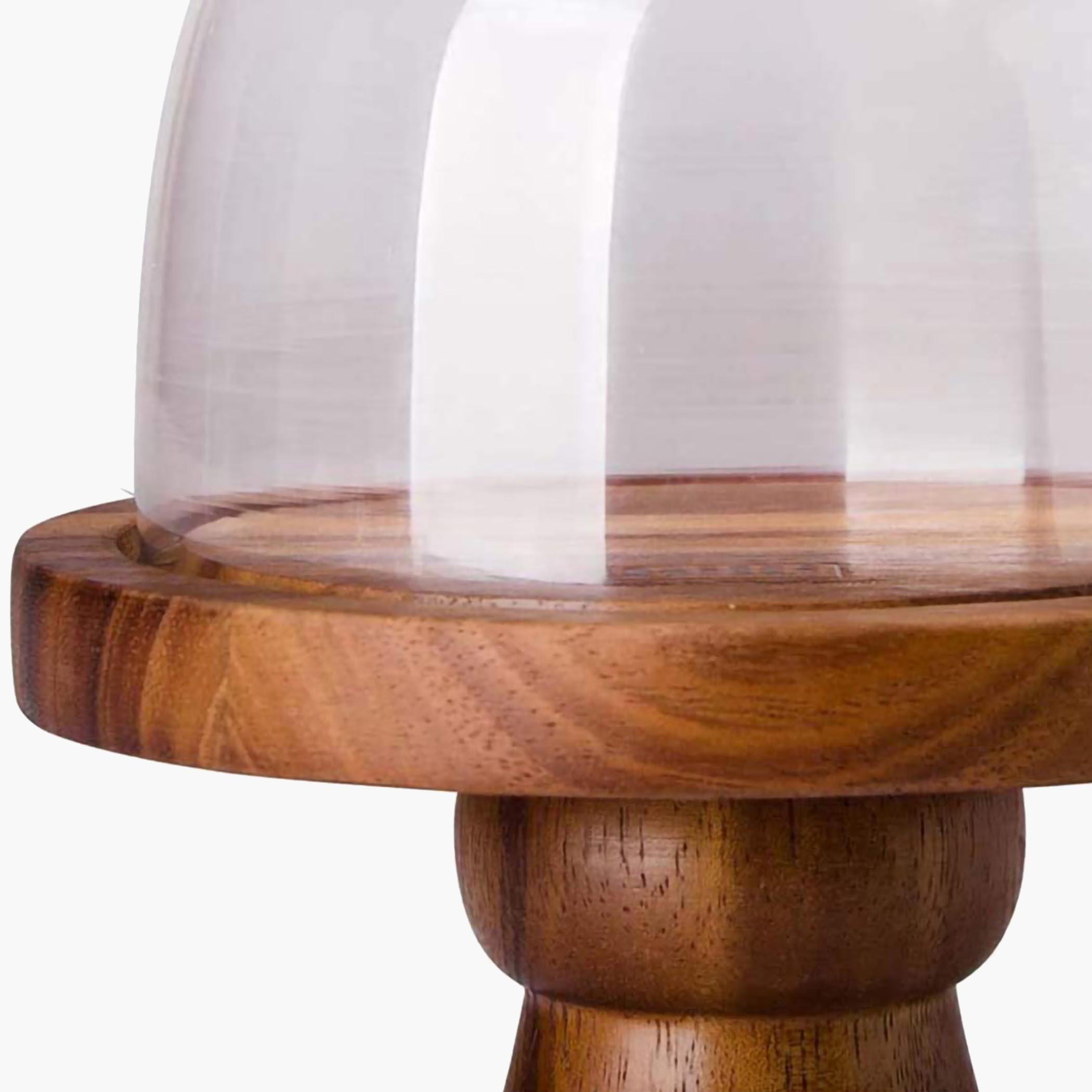Feast Acacia Cake Dome with Stand - 13 cm-hbxdecorandfurnishings-tabletop-serveware-image-3