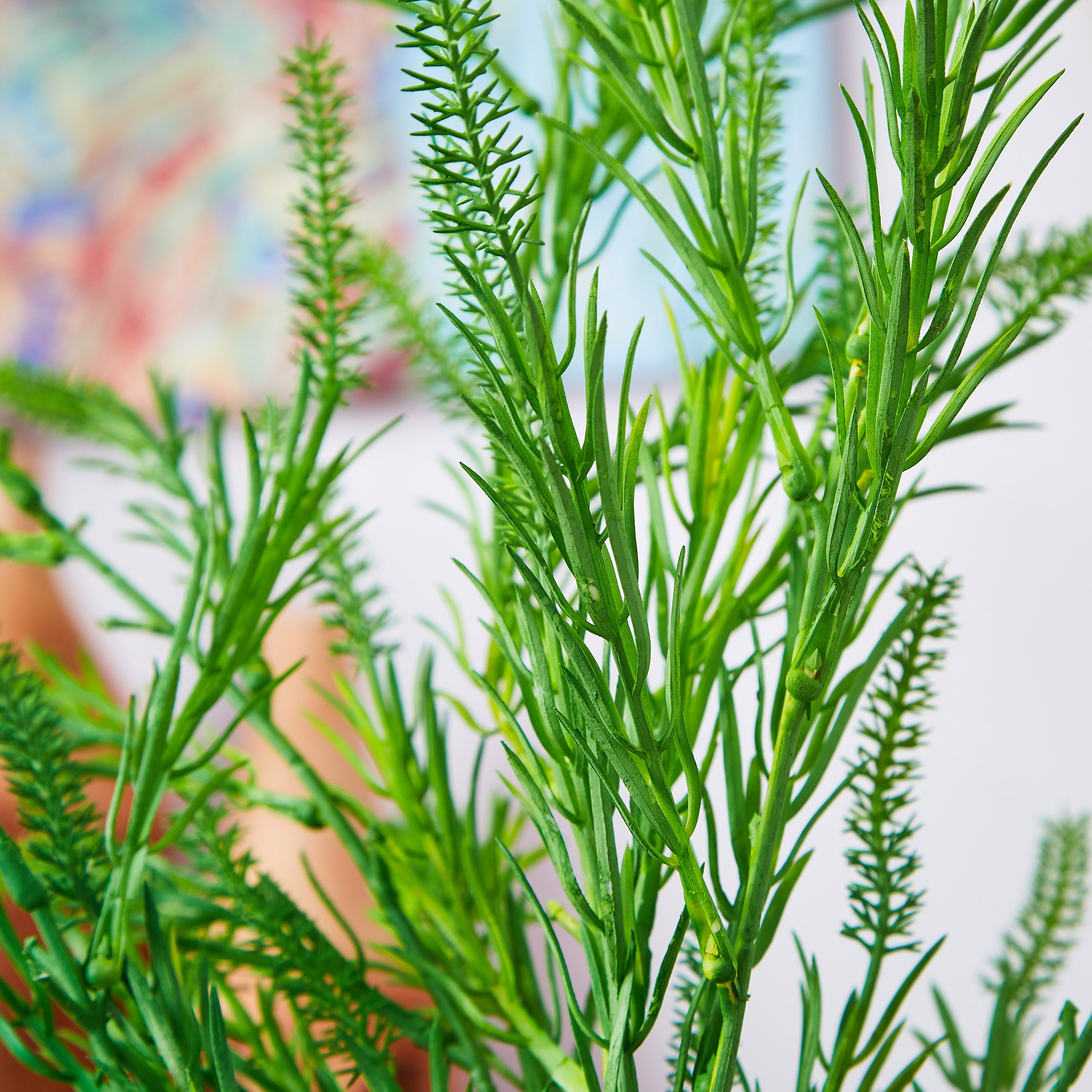 Lida Artificial Grass - 95 cm-hbxdecorandfurnishings-homeaccessories-artificialflowersandplants-image-2