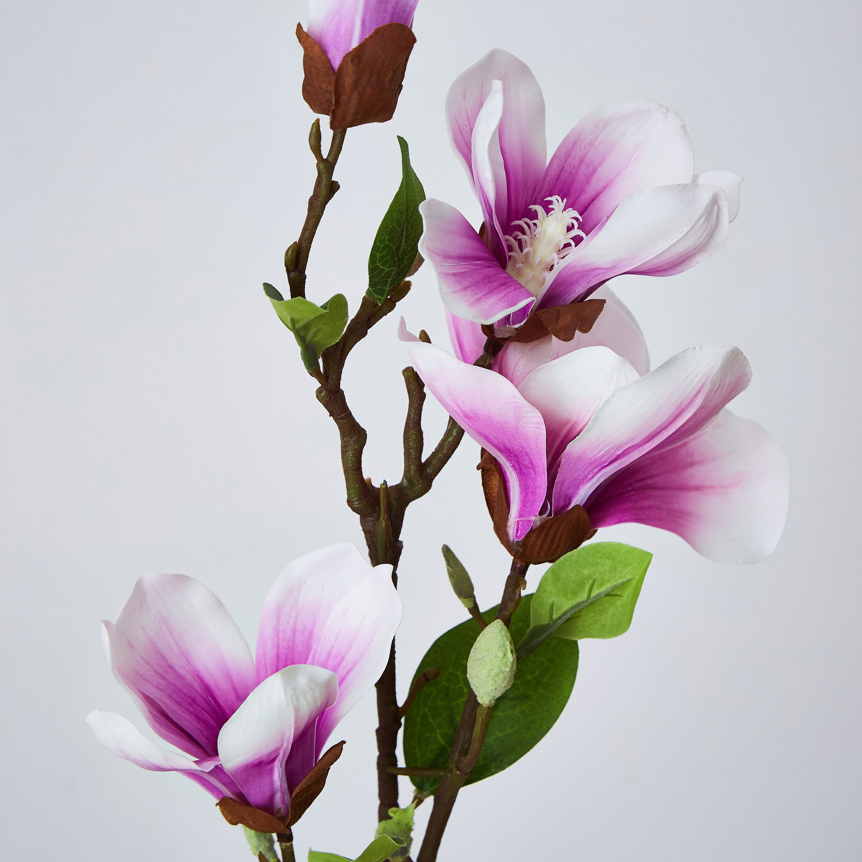 أزهار ماغنوليا مزيّنة بـ4 رؤوس من ليدا - 92 سم-hbxdecorandfurnishings-homeaccessories-artificialflowersandplants-image-2
