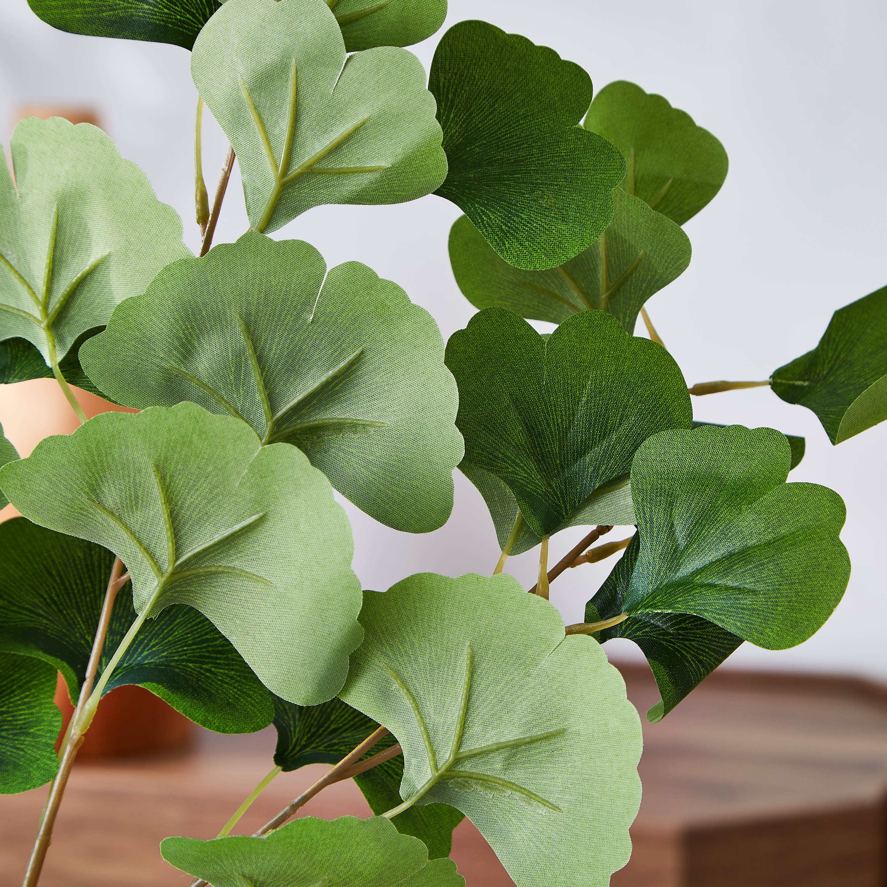 أوراق جنكة من ليدا - 79 سم-hbxdecorandfurnishings-homeaccessories-artificialflowersandplants-image-2