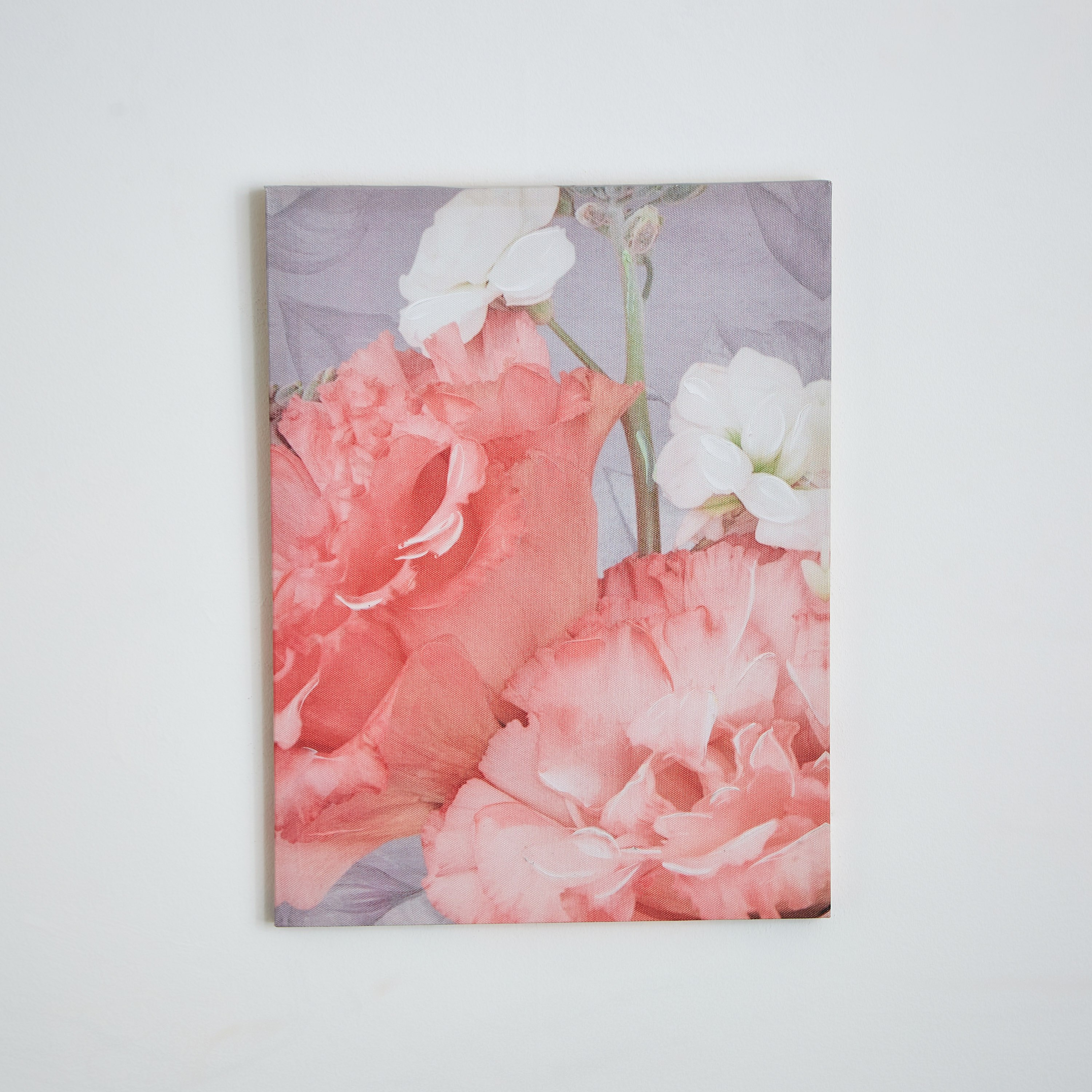 Elmer Flower Canvas Printed Framed Picture-PROMO_HB_AE_B1G1_250925-image-5