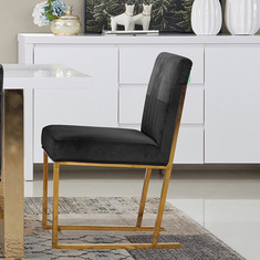 Andes Dining Chair
