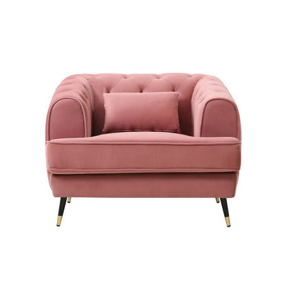 Alison 1-Seater Velvet Sofa with Cushion