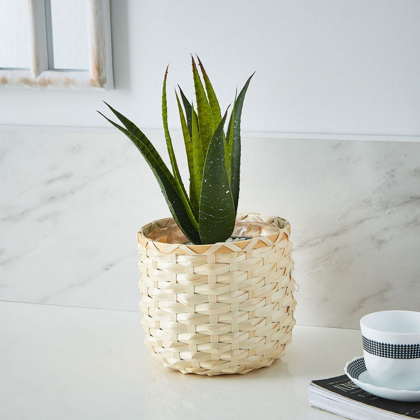 Natura Bamboo Weave Detail Pot - 16x18 cm-Planters and Urns-image-2