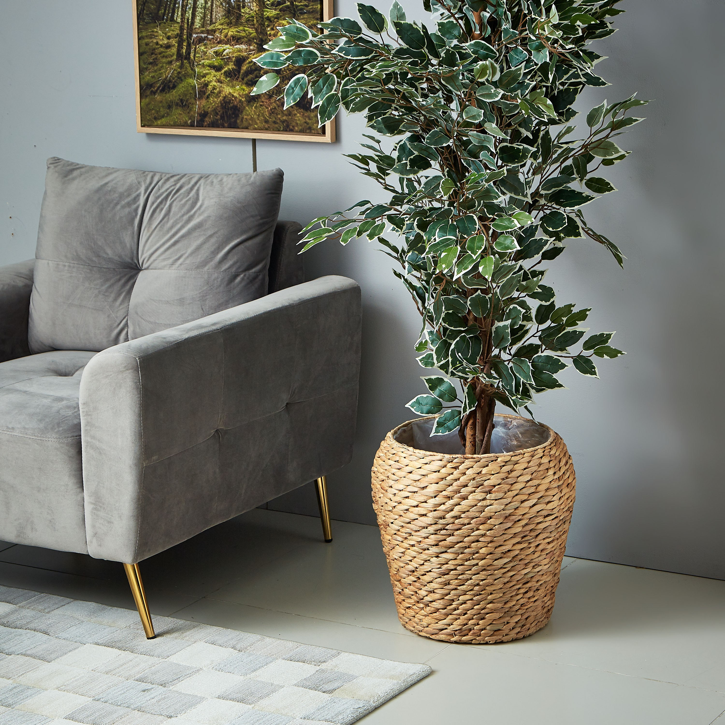 إصيص زرع صفير الماء من ناتشورا-hbxdecorandfurnishings-homeaccessories-artificialflowersandplants-image-4
