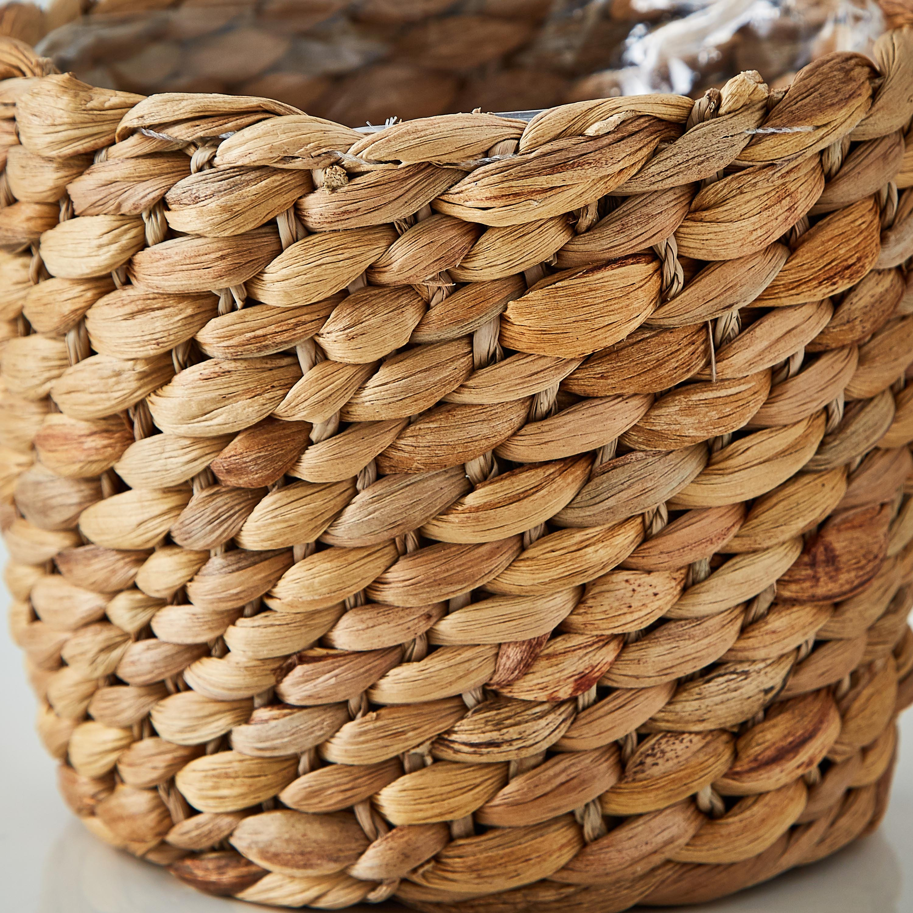 إصيص زرع صفير الماء من ناتشورا-hbxdecorandfurnishings-homeaccessories-artificialflowersandplants-image-2