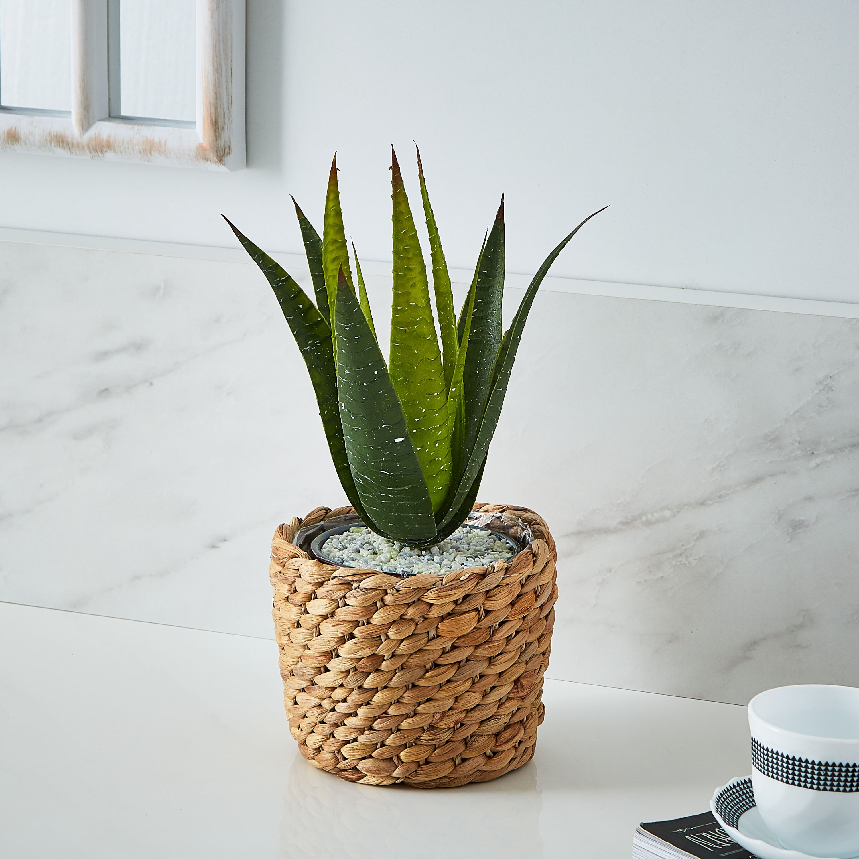 إصيص زرع صفير الماء من ناتشورا-hbxdecorandfurnishings-homeaccessories-artificialflowersandplants-image-3
