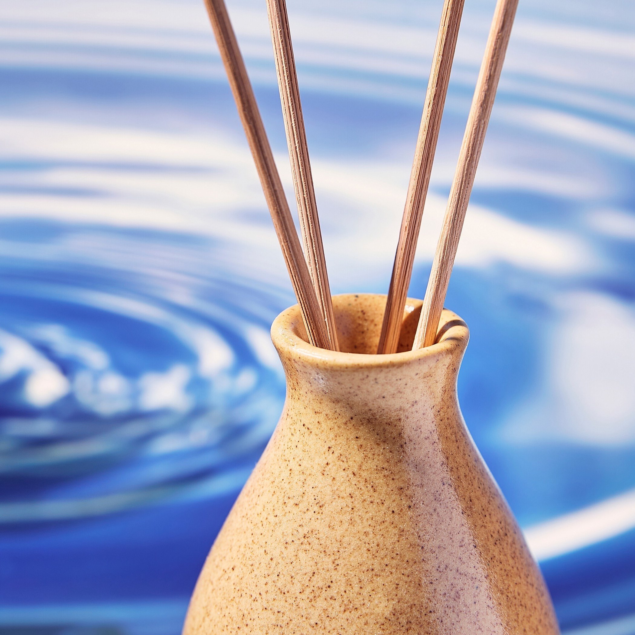 Tatva Water Reed Diffuser Set - 50 ml-PROMO_HB_AE_B1G1_250925-image-2
