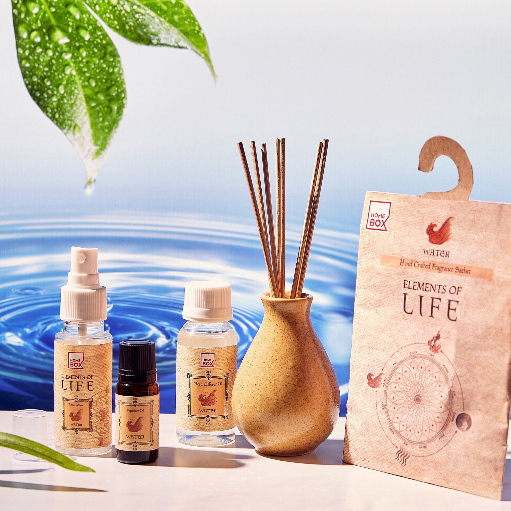 Tatva Water Reed Diffuser Set - 50 ml-PROMO_HB_AE_B1G1_250925-image-3