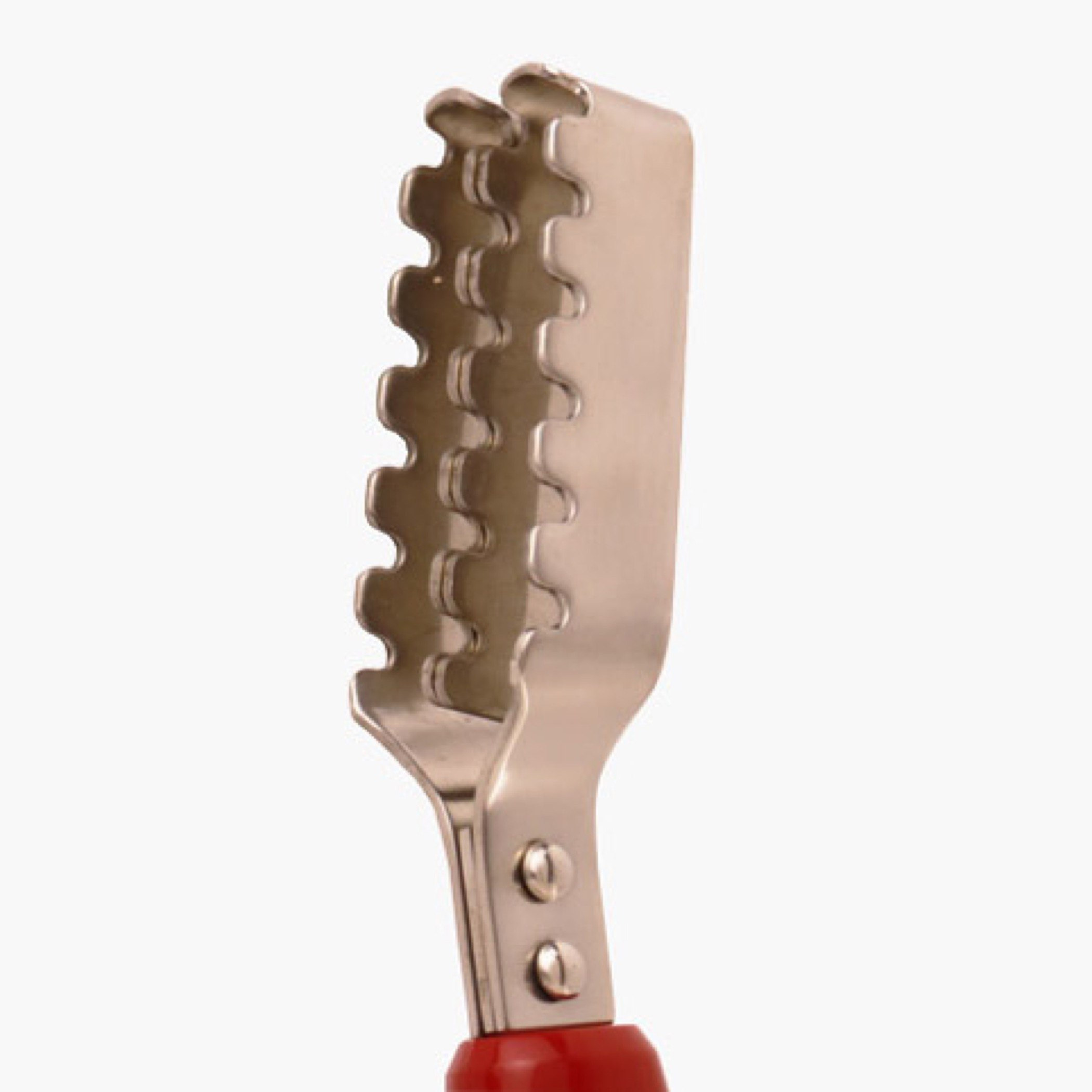 Fish Scaler-hbxhomeware-hbxkitchen-image-2