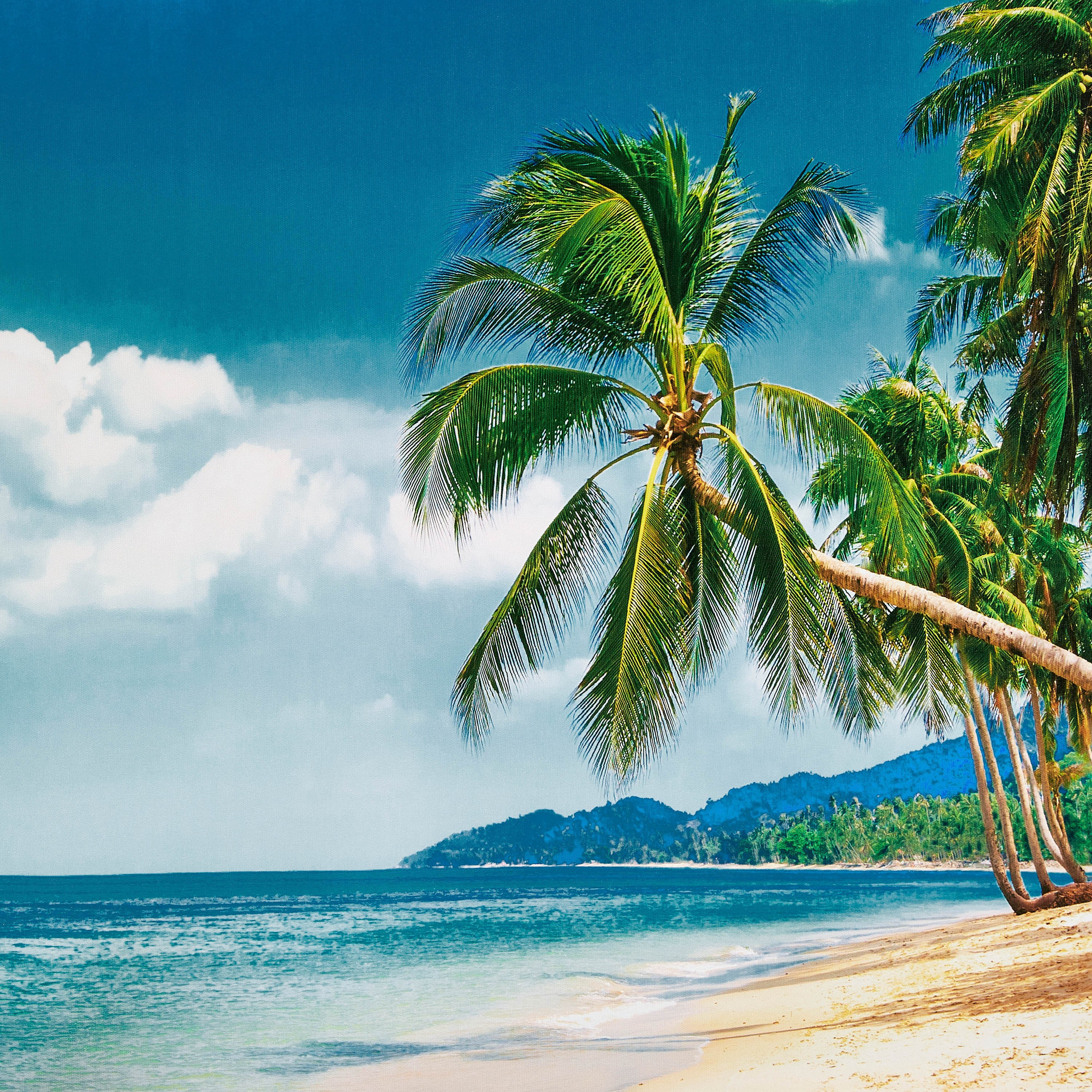 Kia Island Canvas Framed Picture - 60x3x80 cm-hbxhomeware-hbxdecorandfurnishings-image-3