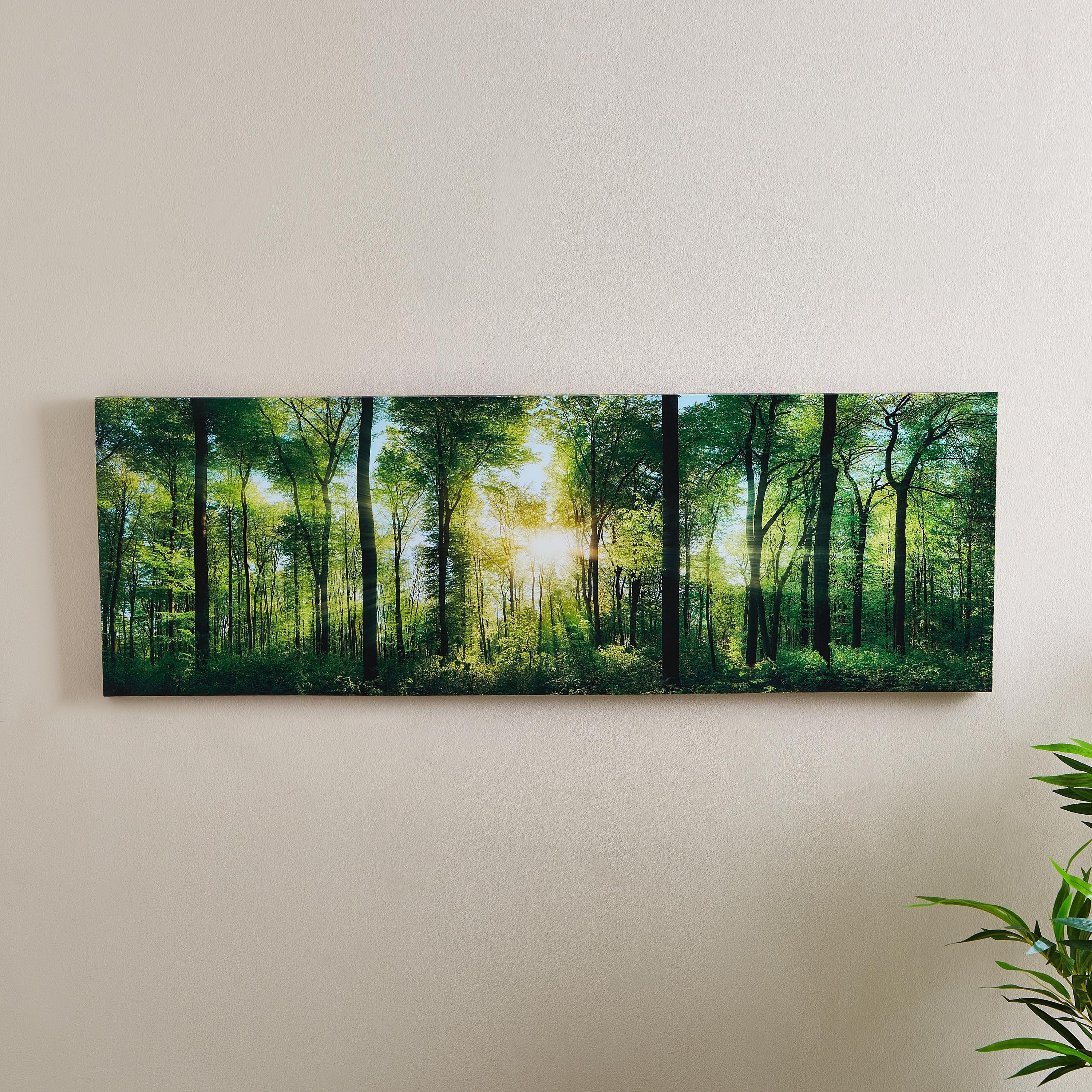 لوحة الغابات الخضراء اللامعة بإطار من كيا-hbxhomeware-hbxdecorandfurnishings-image-1