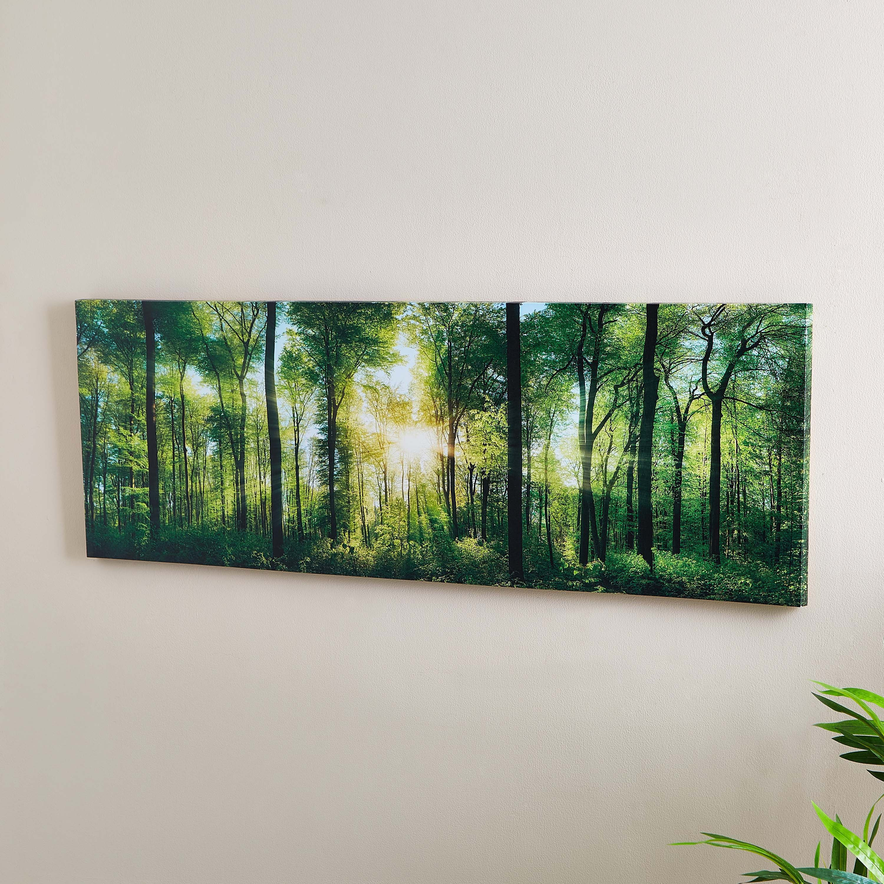 لوحة الغابات الخضراء اللامعة بإطار من كيا-hbxhomeware-hbxdecorandfurnishings-image-2