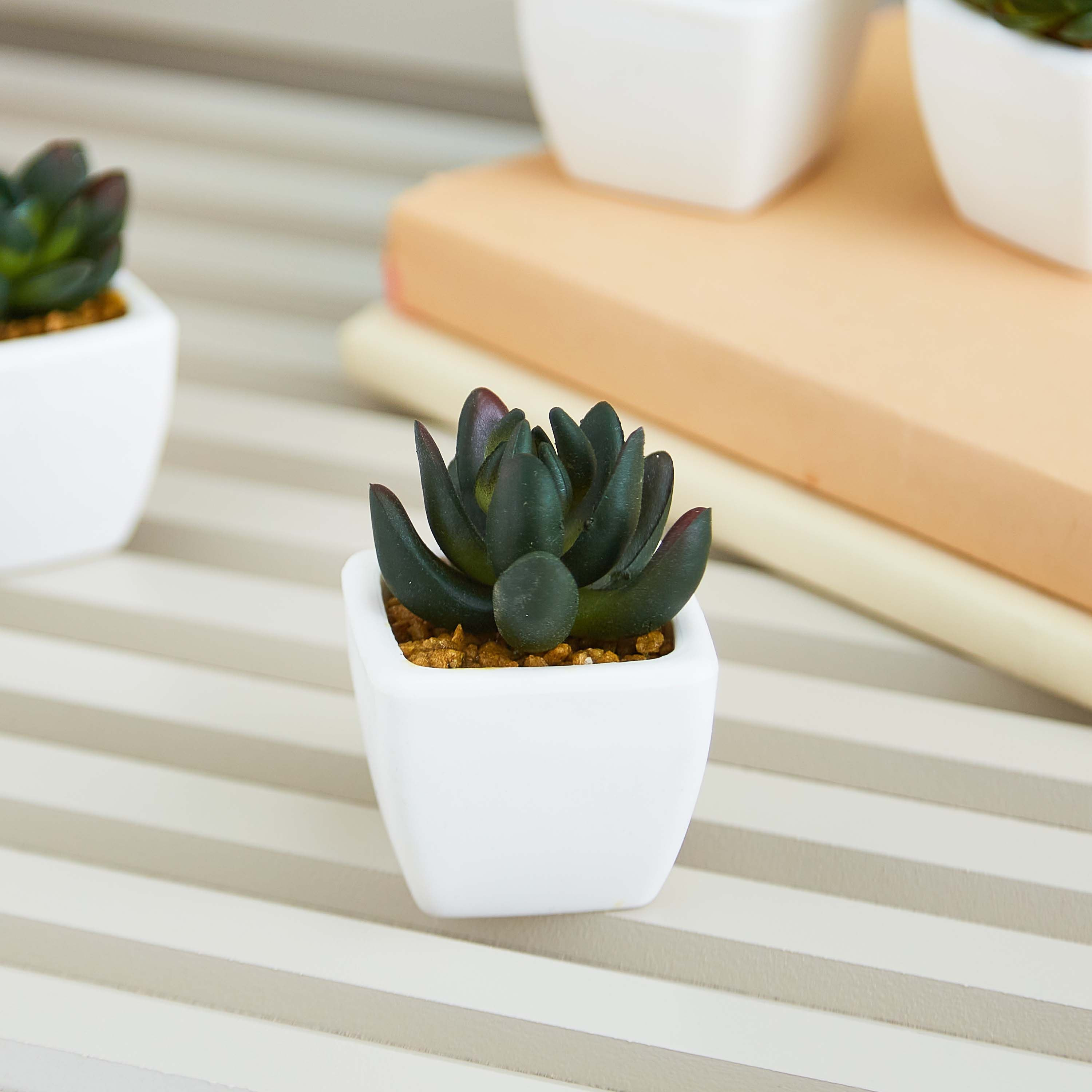 Zoe Mini Plant - 8 cm-hbxdecorandfurnishings-homeaccessories-artificialflowersandplants-image-1