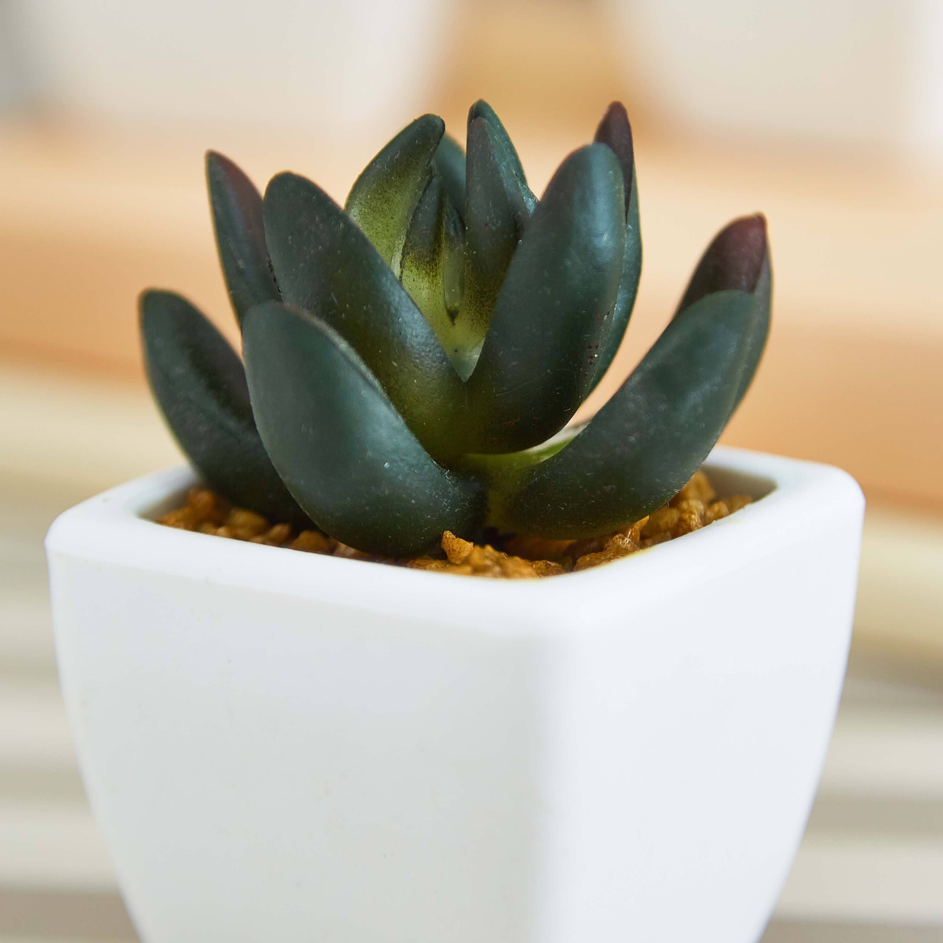 Zoe Mini Plant - 8 cm-hbxdecorandfurnishings-homeaccessories-artificialflowersandplants-image-2