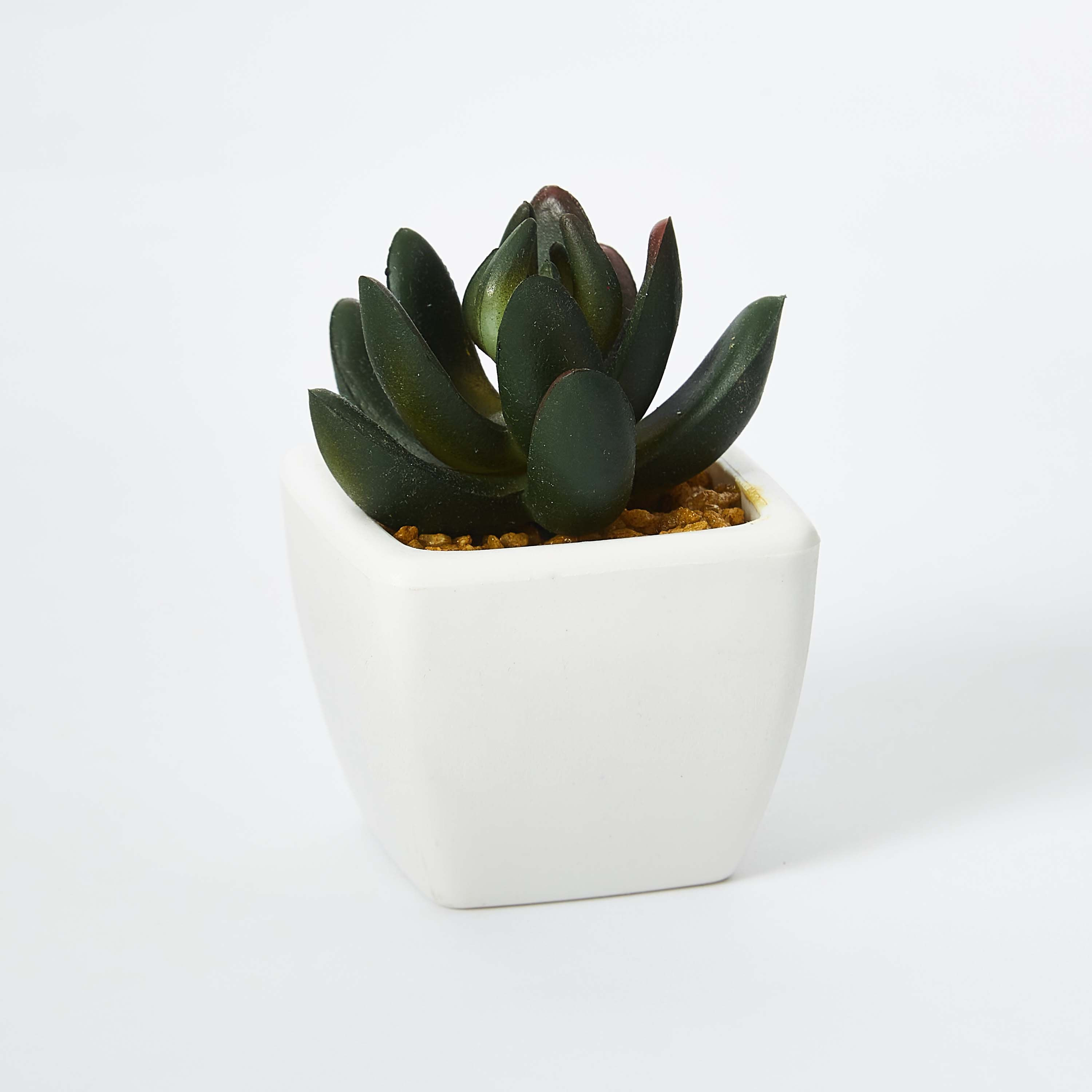 Zoe Mini Plant - 8 cm-hbxdecorandfurnishings-homeaccessories-artificialflowersandplants-image-4