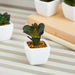 Zoe Mini Plant - 8 cm-Artificial Flowers and Plants-thumbnail-0