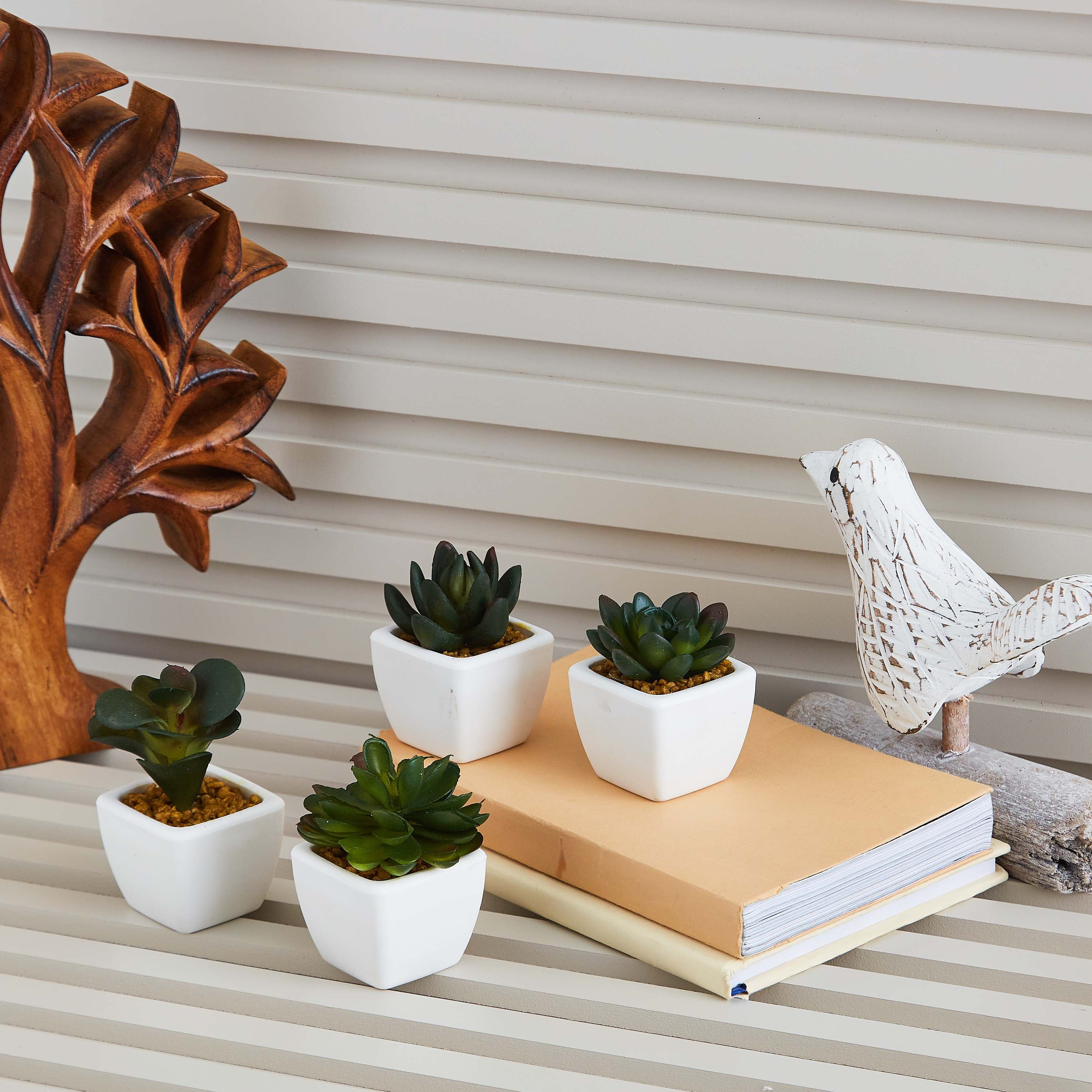نبتة صغيرة من زوي- 8 سم-hbxdecorandfurnishings-homeaccessories-artificialflowersandplants-image-3