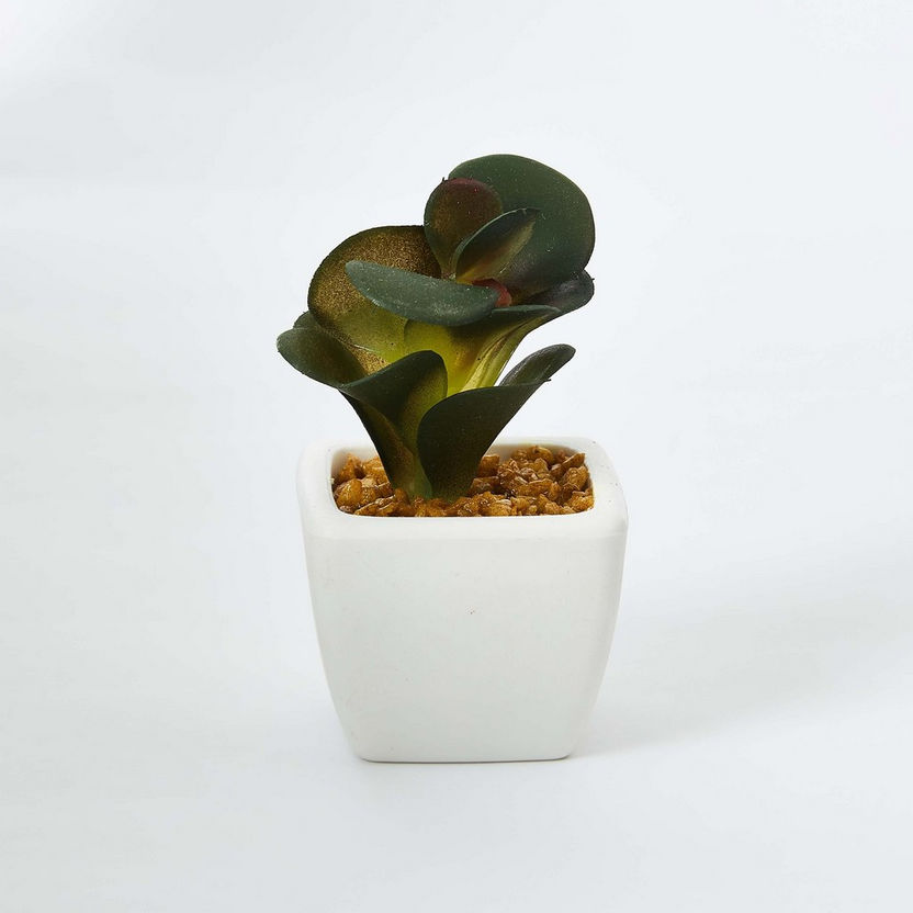 Zoe Mini Plant - 8 cm-Artificial Flowers and Plants-image-3