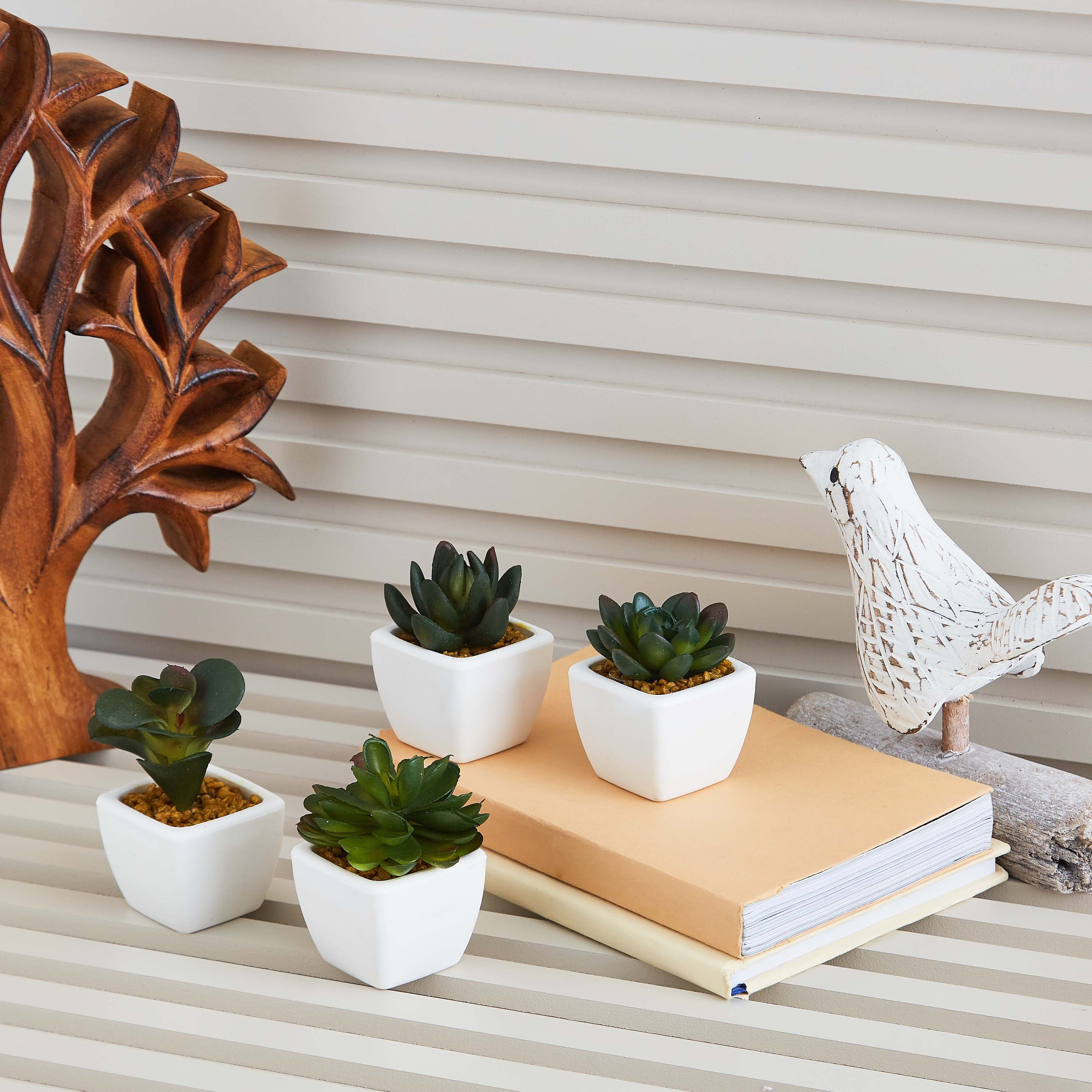 نبتة صغيرة من زو- 8 سم-hbxdecorandfurnishings-homeaccessories-artificialflowersandplants-image-3