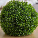 Trixie Boxwood Ball - 22 cm-Artificial Flowers and Plants-thumbnail-1