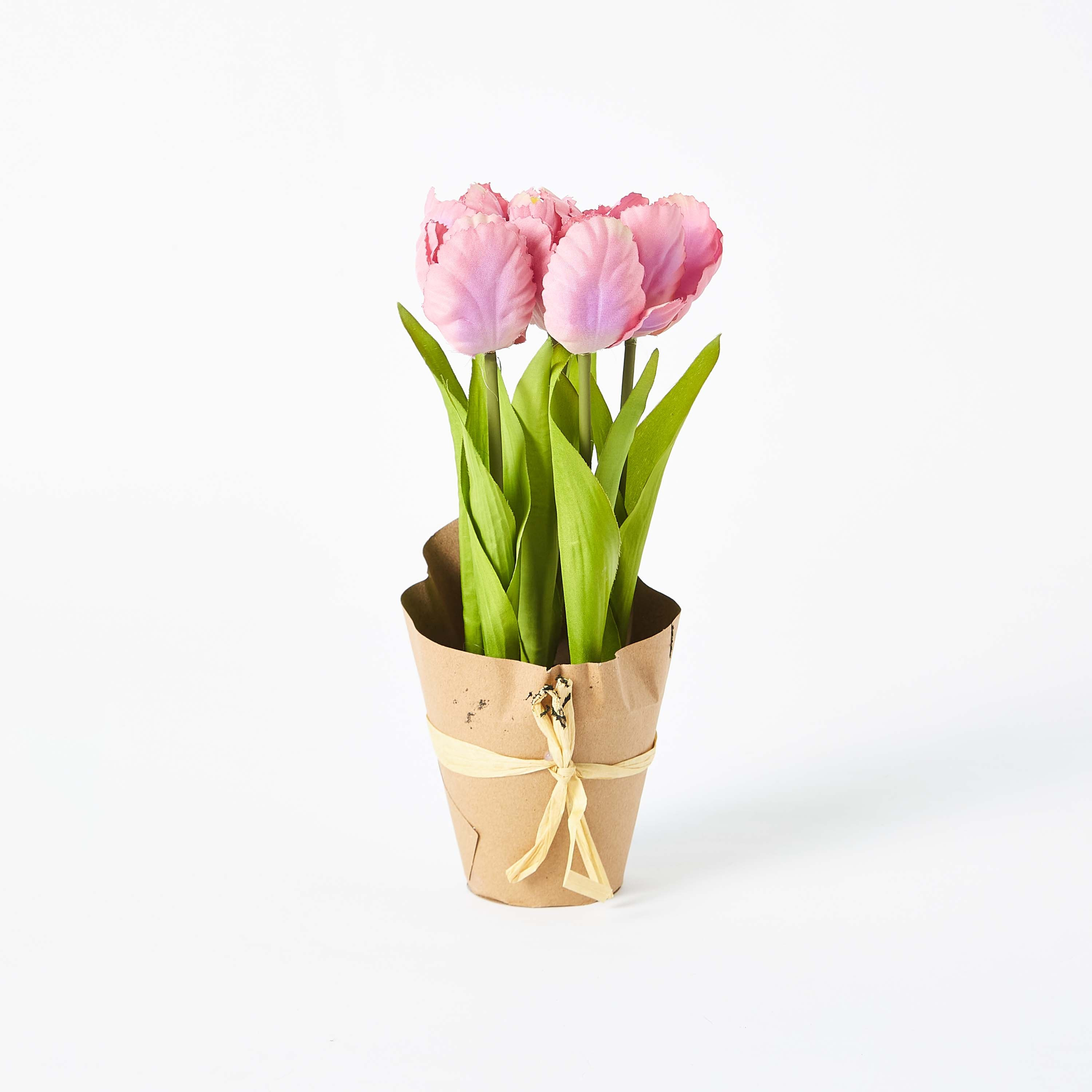 زهرة زينة مع مزهرية من إيدينك - 23 سم-hbxdecorandfurnishings-homeaccessories-artificialflowersandplants-image-5
