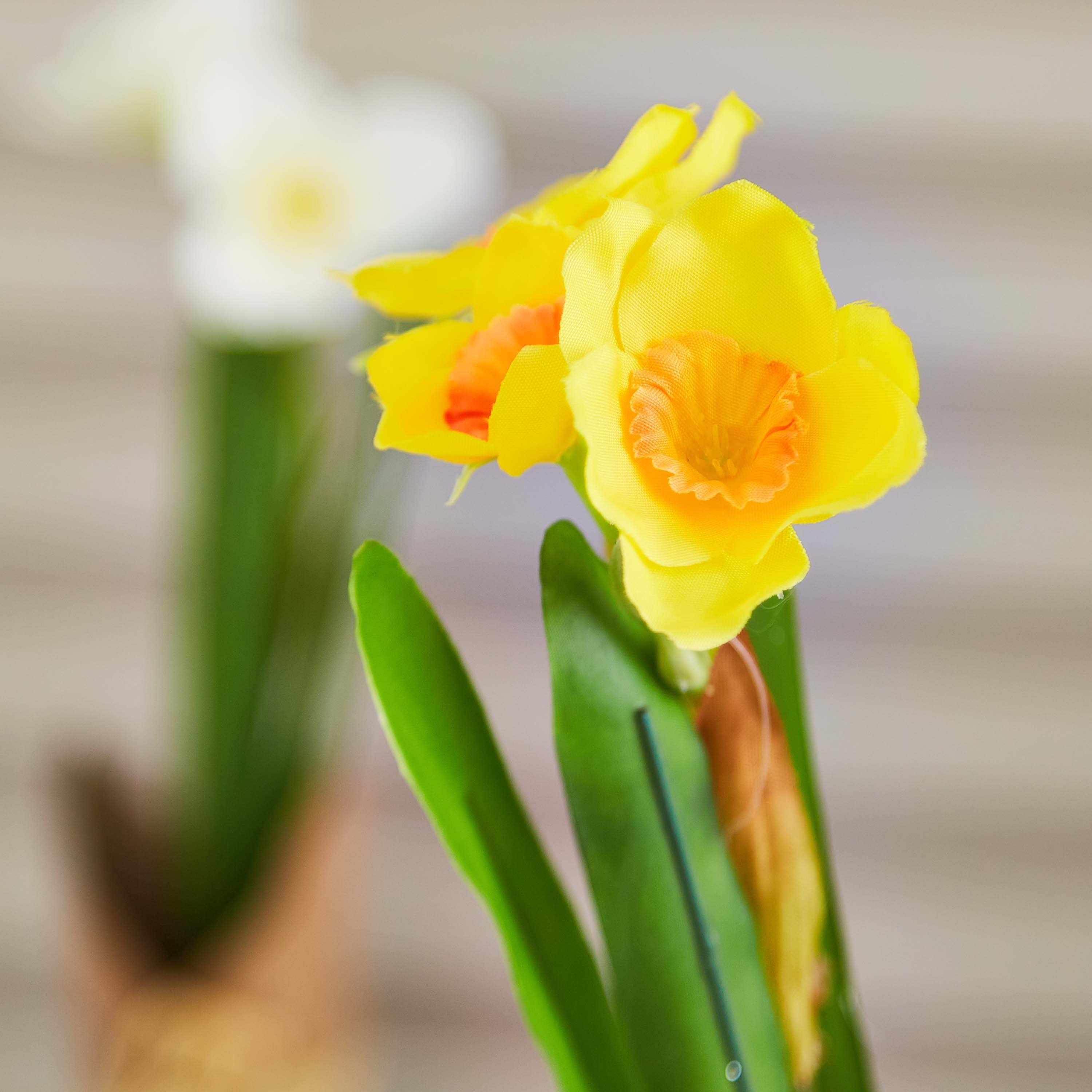 زهرة زينة مع مزهرية من إيدينك - 23 سم-hbxdecorandfurnishings-homeaccessories-artificialflowersandplants-image-2