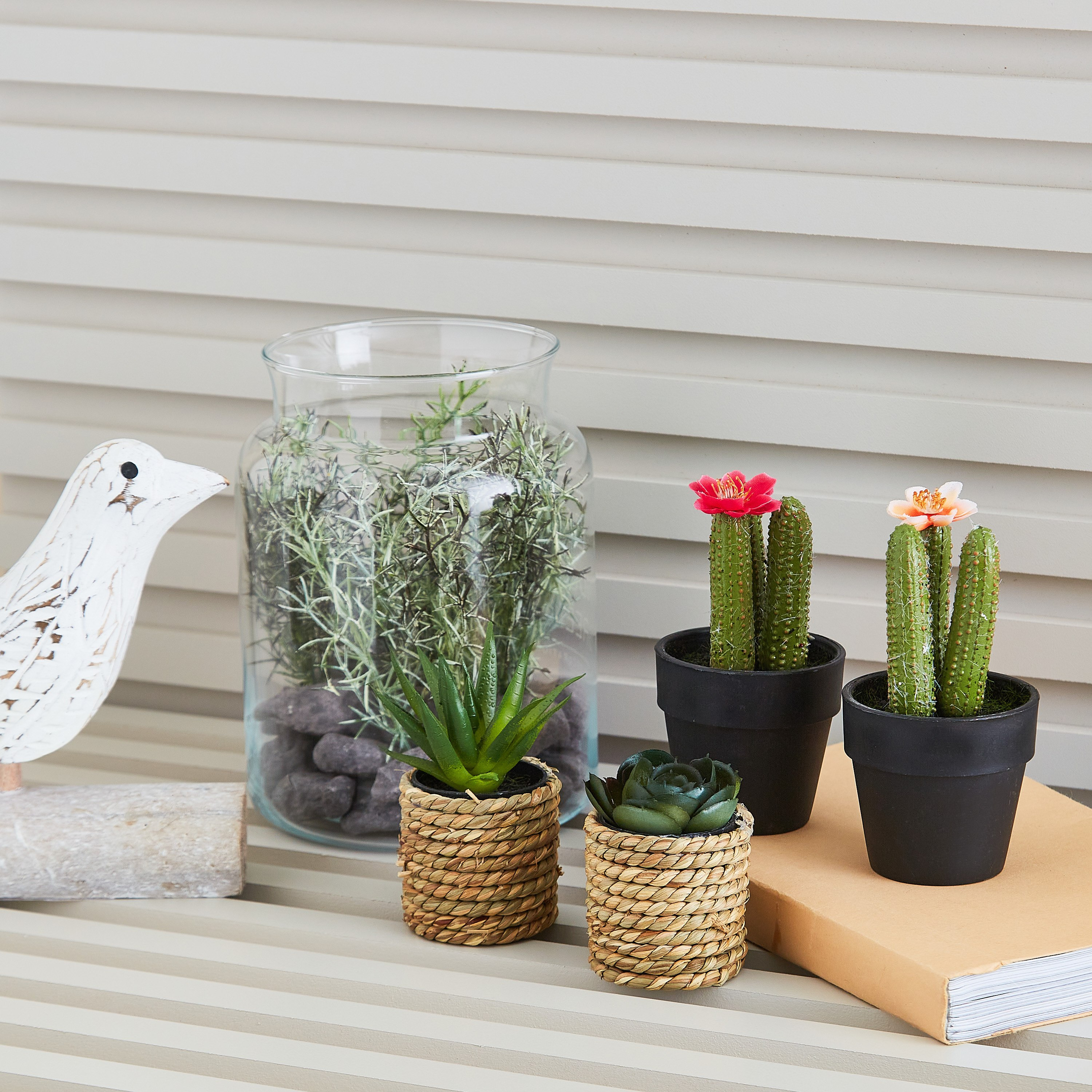 نبتة عصاري صغيرة مع مزهرية حبل من إيدينك - 10 سم-hbxdecorandfurnishings-homeaccessories-artificialflowersandplants-image-3