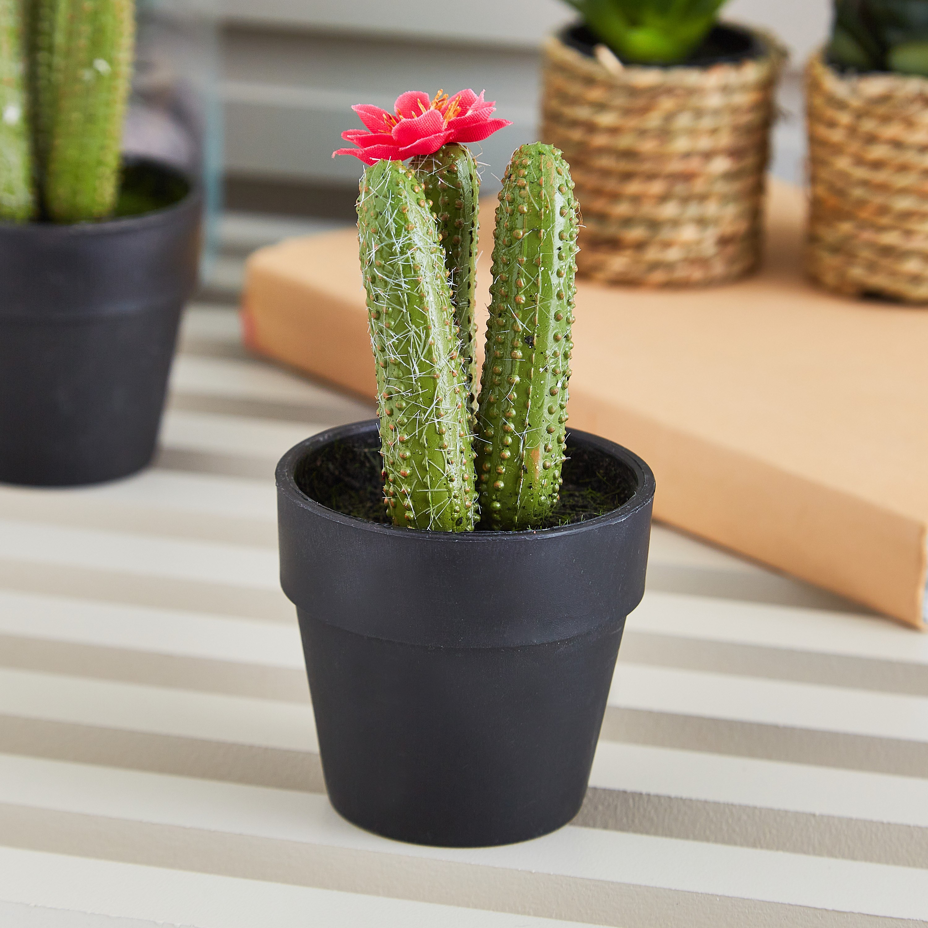 نبتة صبار صغيرة بالزهور من إيدينك - 12 سم-hbxdecorandfurnishings-homeaccessories-artificialflowersandplants-image-1