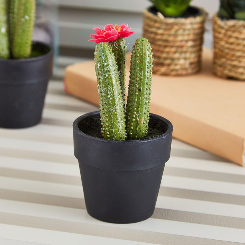 Edenic Mini Cactus Plant with Flower - 12 cm-Artificial Flowers and Plants-image-0