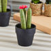 Edenic Mini Cactus Plant with Flower - 12 cm-Artificial Flowers and Plants-thumbnailMobile-0