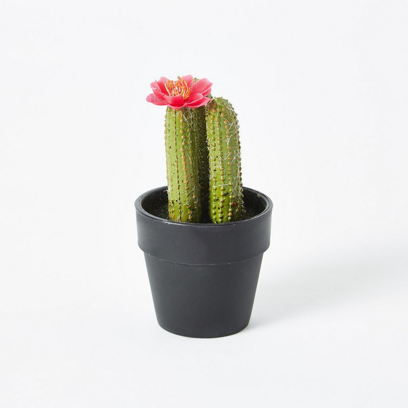 Edenic Mini Cactus Plant with Flower - 12 cm-Artificial Flowers and Plants-image-3