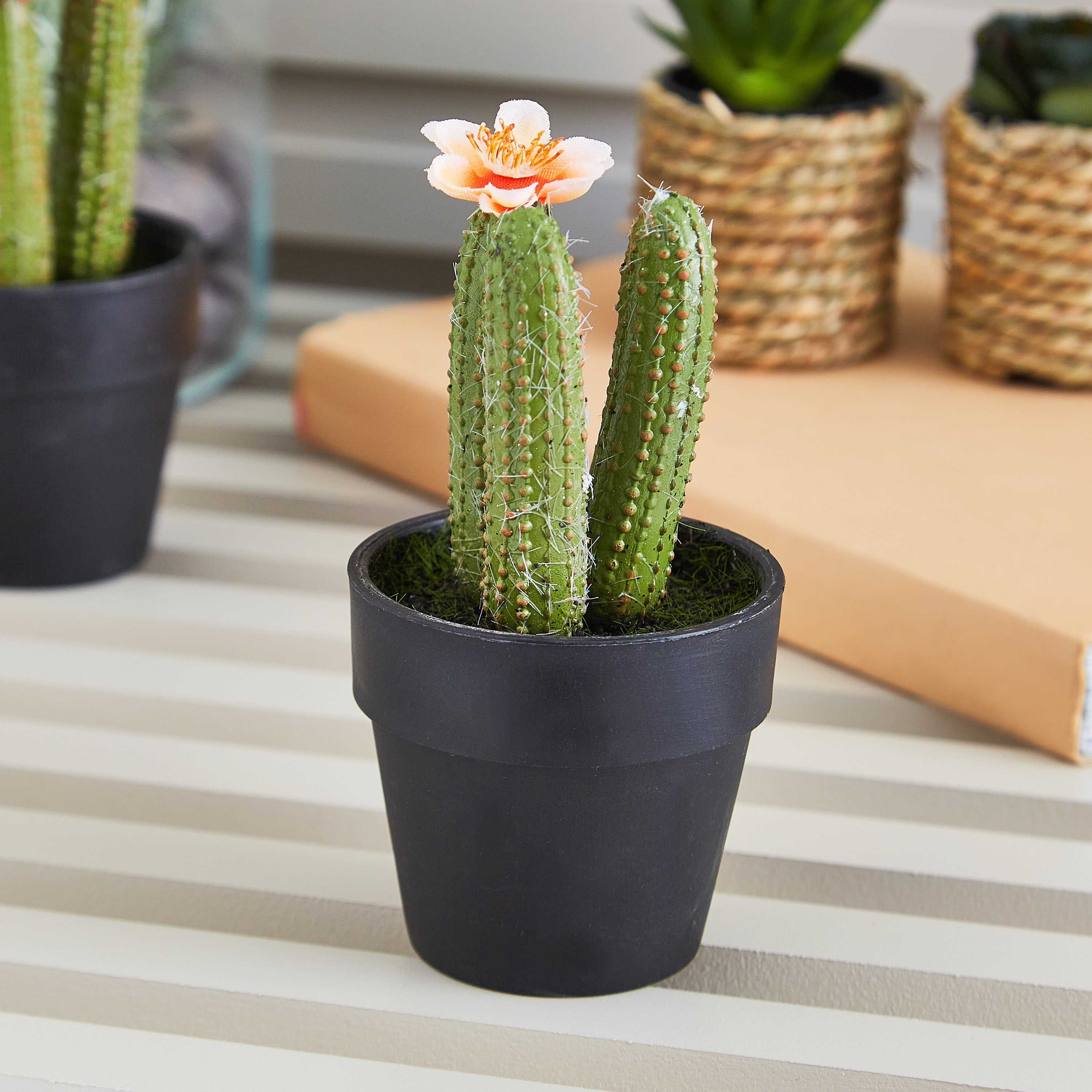 نبتة صبار صغيرة مع زهرة من إيدينك - 12 سم-hbxdecorandfurnishings-homeaccessories-artificialflowersandplants-image-1