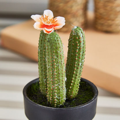 Edenic Mini Cactus Plant with Flower - 12 cms