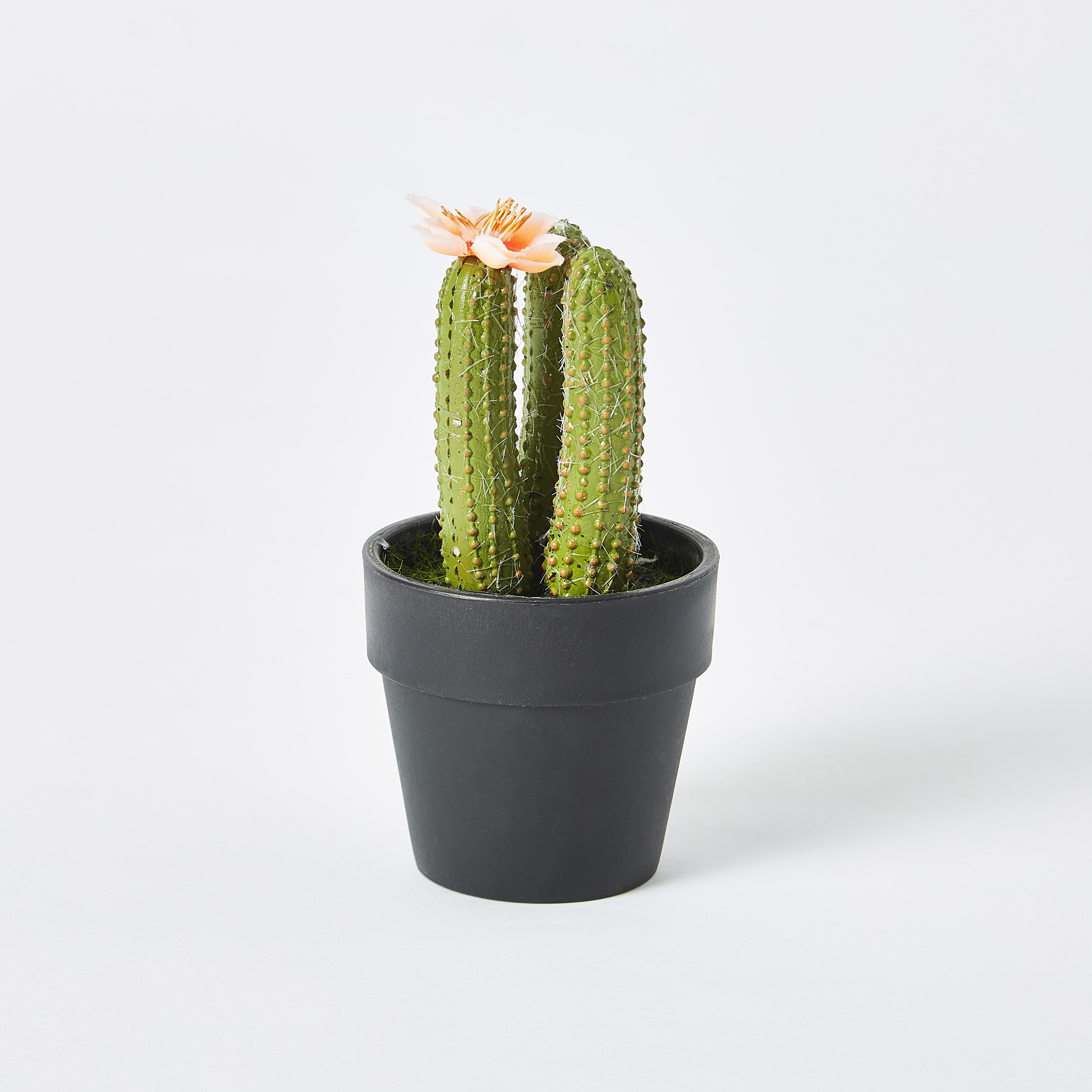 نبتة صبار صغيرة مع زهرة من إيدينك - 12 سم-hbxdecorandfurnishings-homeaccessories-artificialflowersandplants-image-4