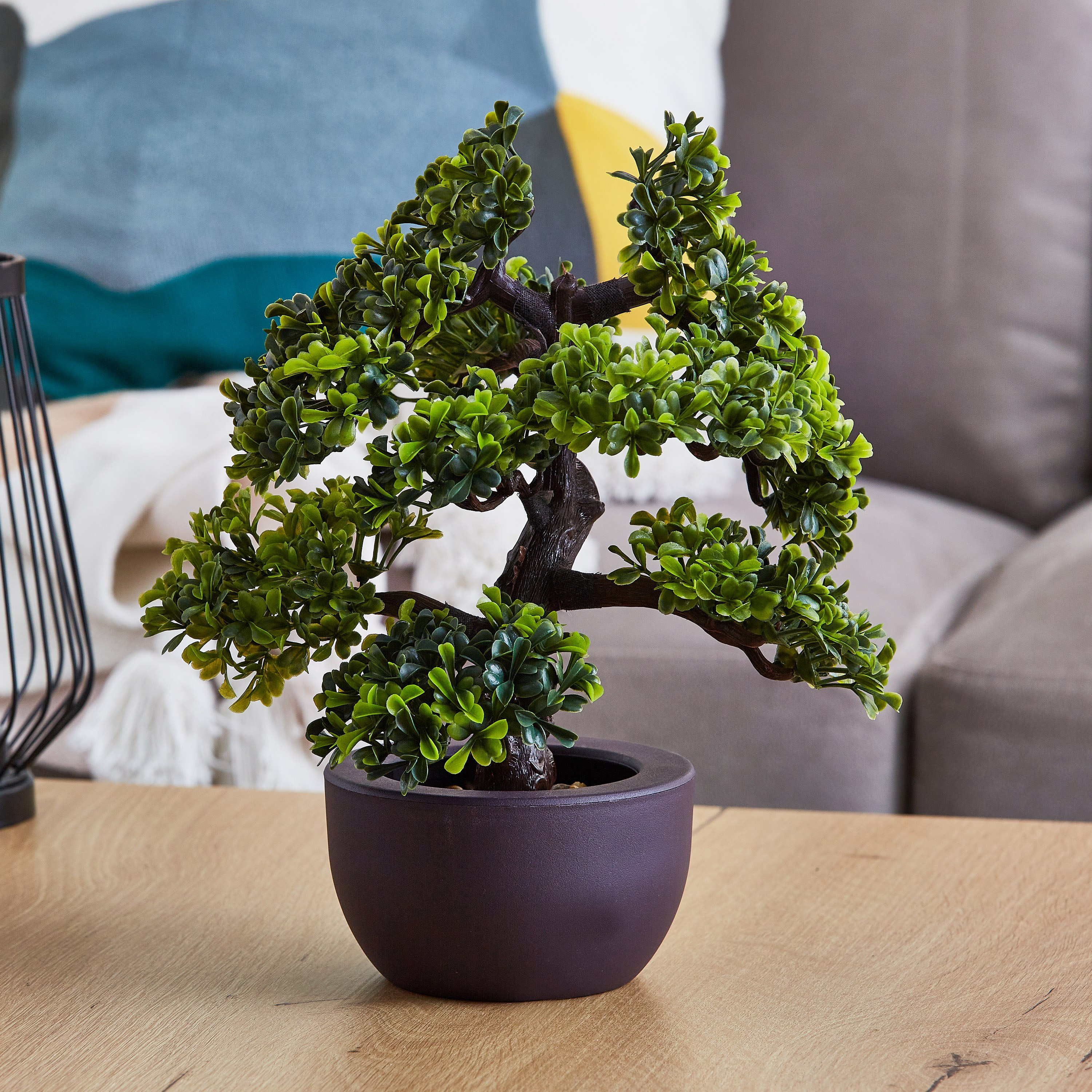 نبتة بونساي من إيدينك - 30 سم-hbxdecorandfurnishings-homeaccessories-artificialflowersandplants-image-1