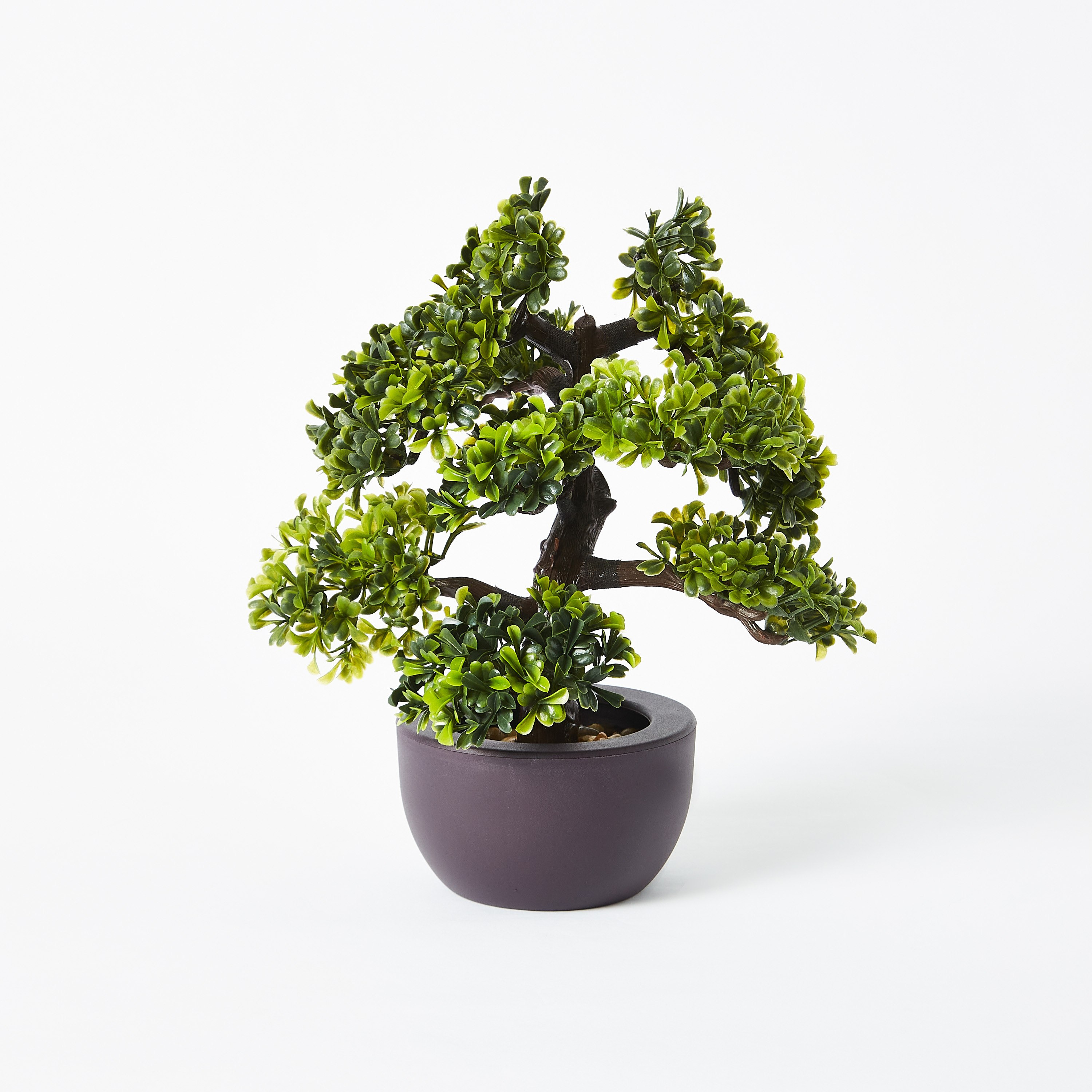 نبتة بونساي من إيدينك - 30 سم-hbxdecorandfurnishings-homeaccessories-artificialflowersandplants-image-4