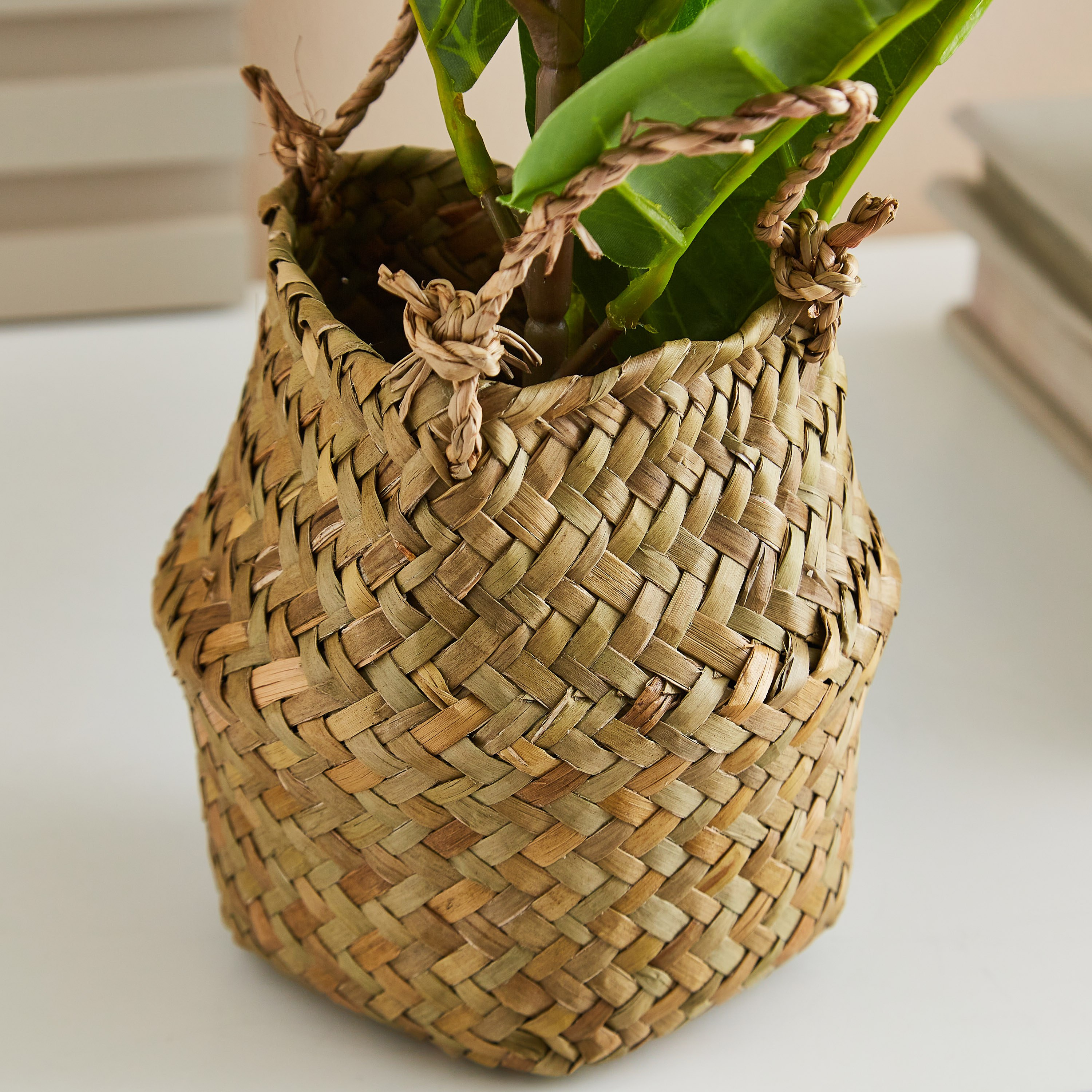 شجرة زينة مع سلة من إيدينك - 66 سم-hbxdecorandfurnishings-homeaccessories-artificialflowersandplants-image-3