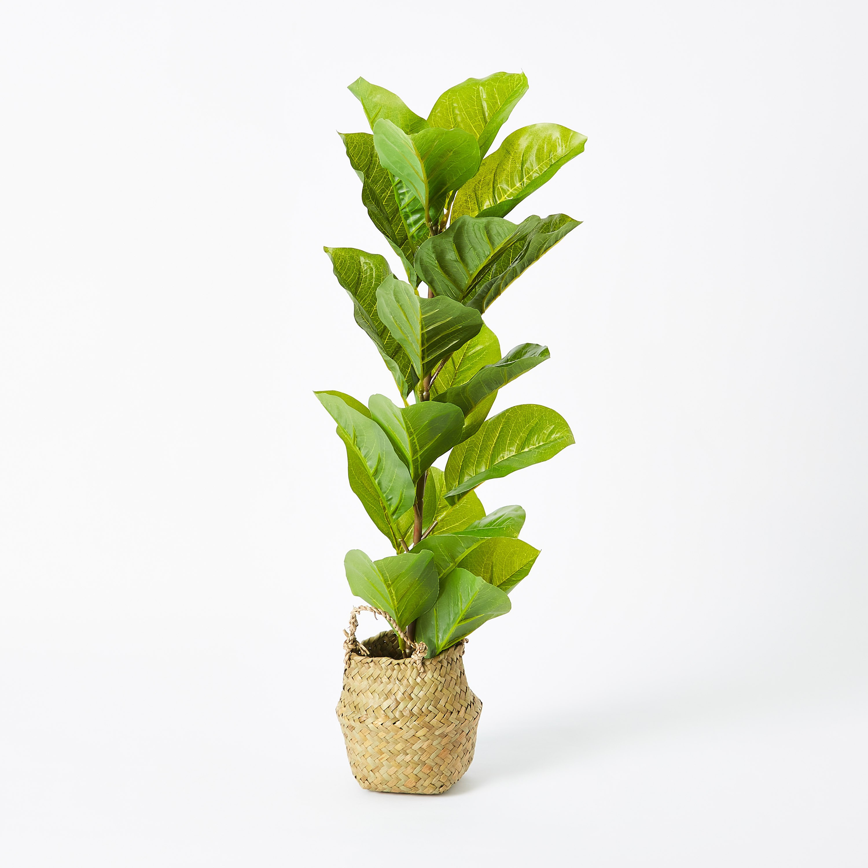 شجرة زينة مع سلة من إيدينك - 66 سم-hbxdecorandfurnishings-homeaccessories-artificialflowersandplants-image-5