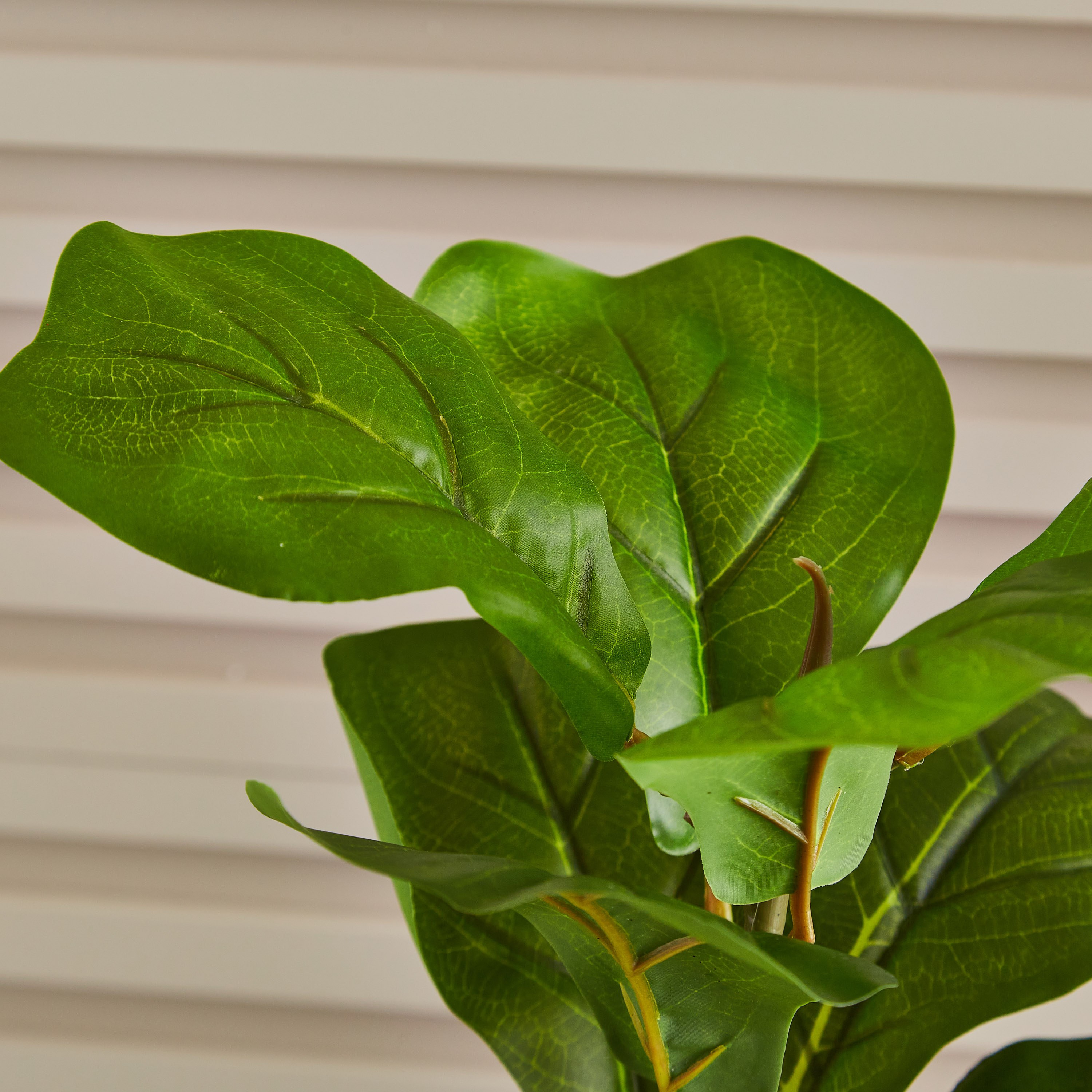 شجرة زينة مع سلة من إيدينك - 66 سم-hbxdecorandfurnishings-homeaccessories-artificialflowersandplants-image-2