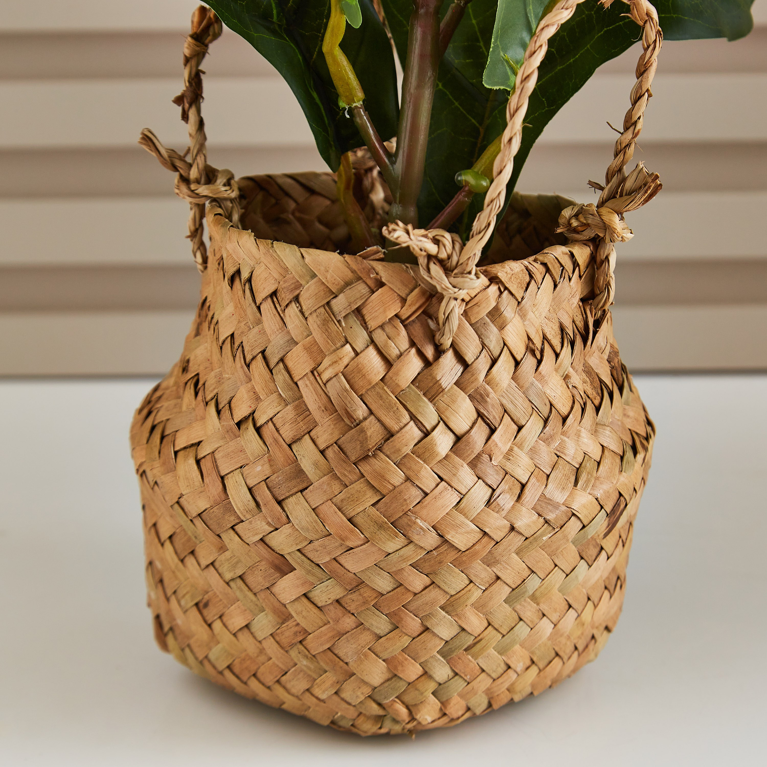 شجرة زينة مع سلة من إيدينك - 66 سم-hbxdecorandfurnishings-homeaccessories-artificialflowersandplants-image-3