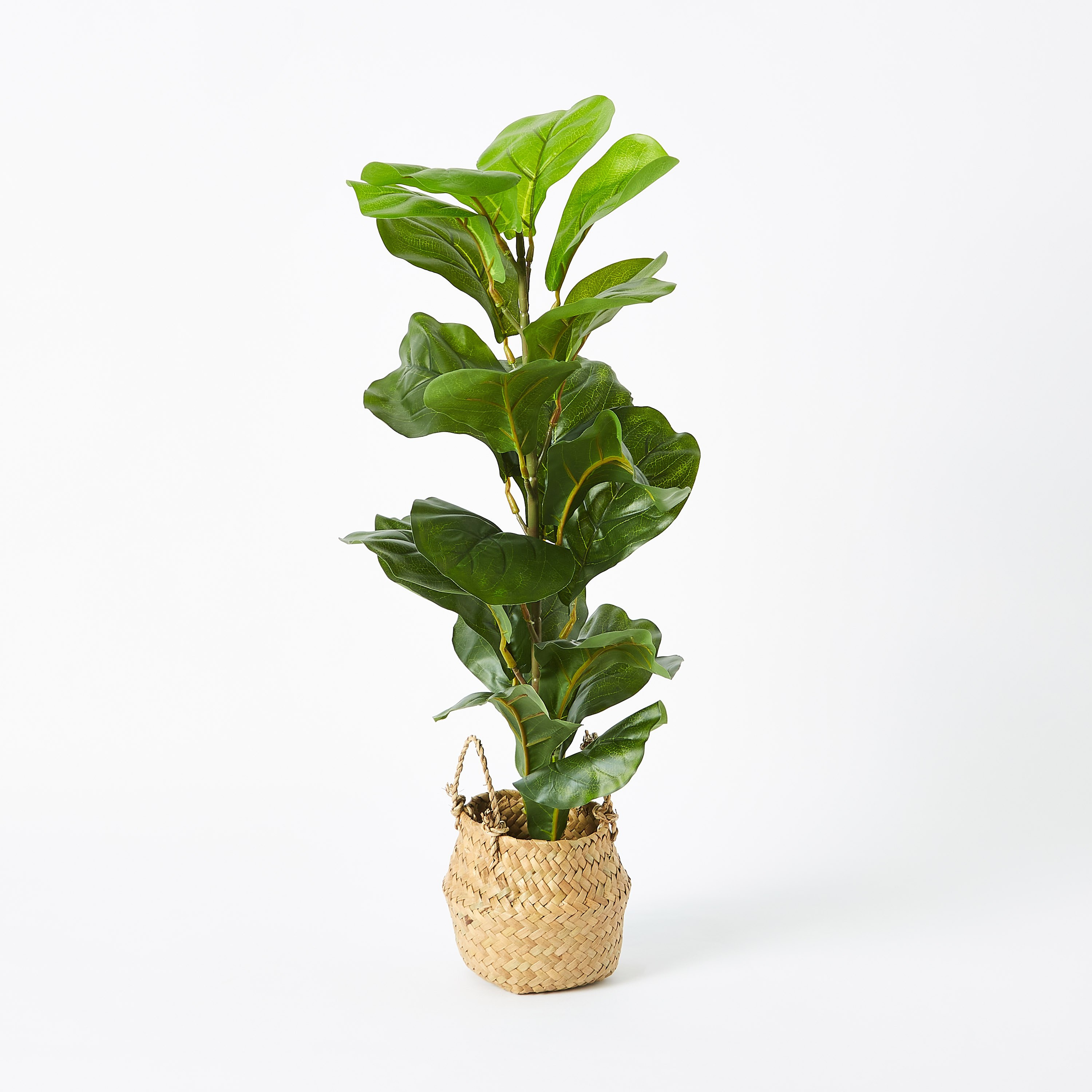 شجرة زينة مع سلة من إيدينك - 66 سم-hbxdecorandfurnishings-homeaccessories-artificialflowersandplants-image-5
