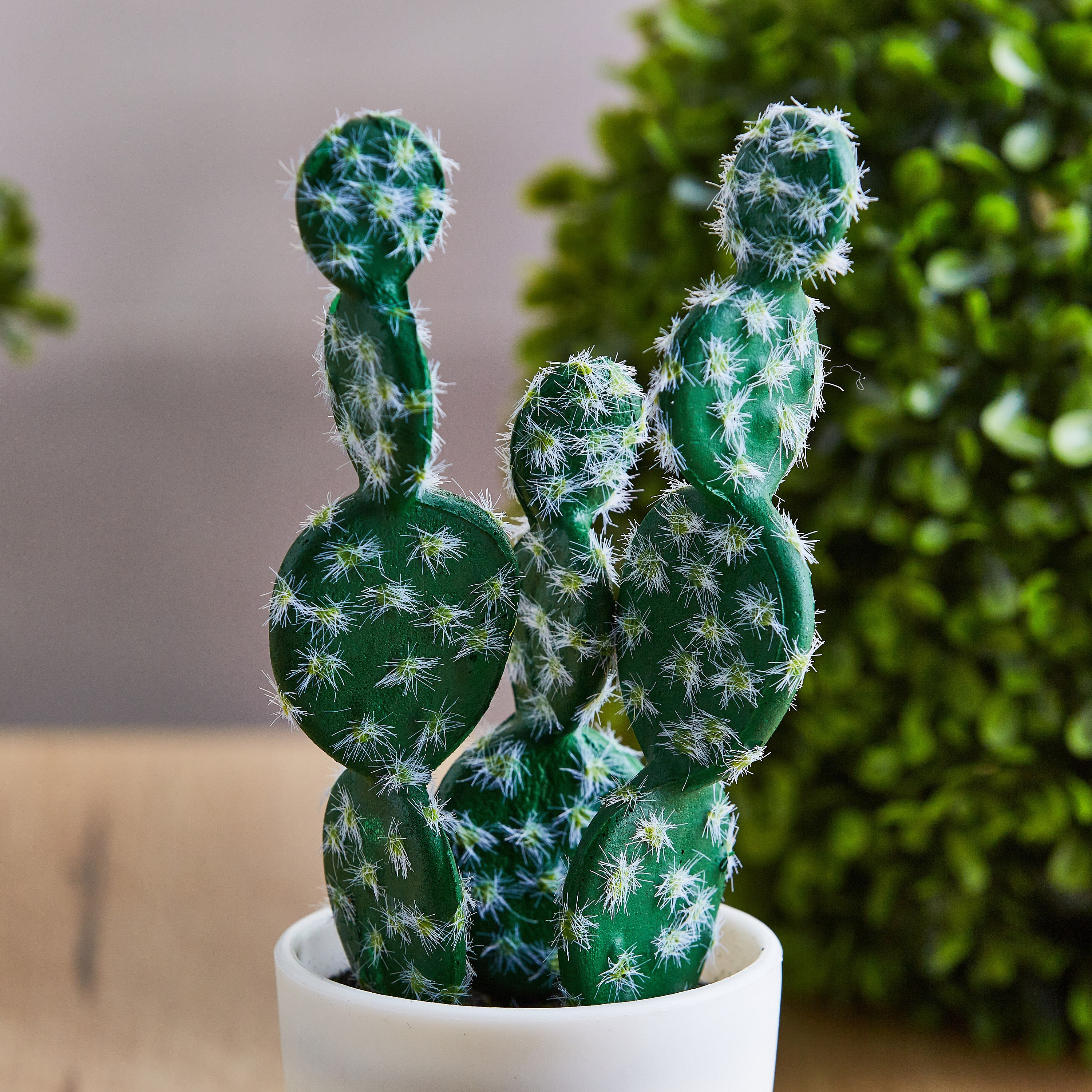 نبتة صبار من إيدينك - 22 سم-hbxdecorandfurnishings-homeaccessories-artificialflowersandplants-image-2
