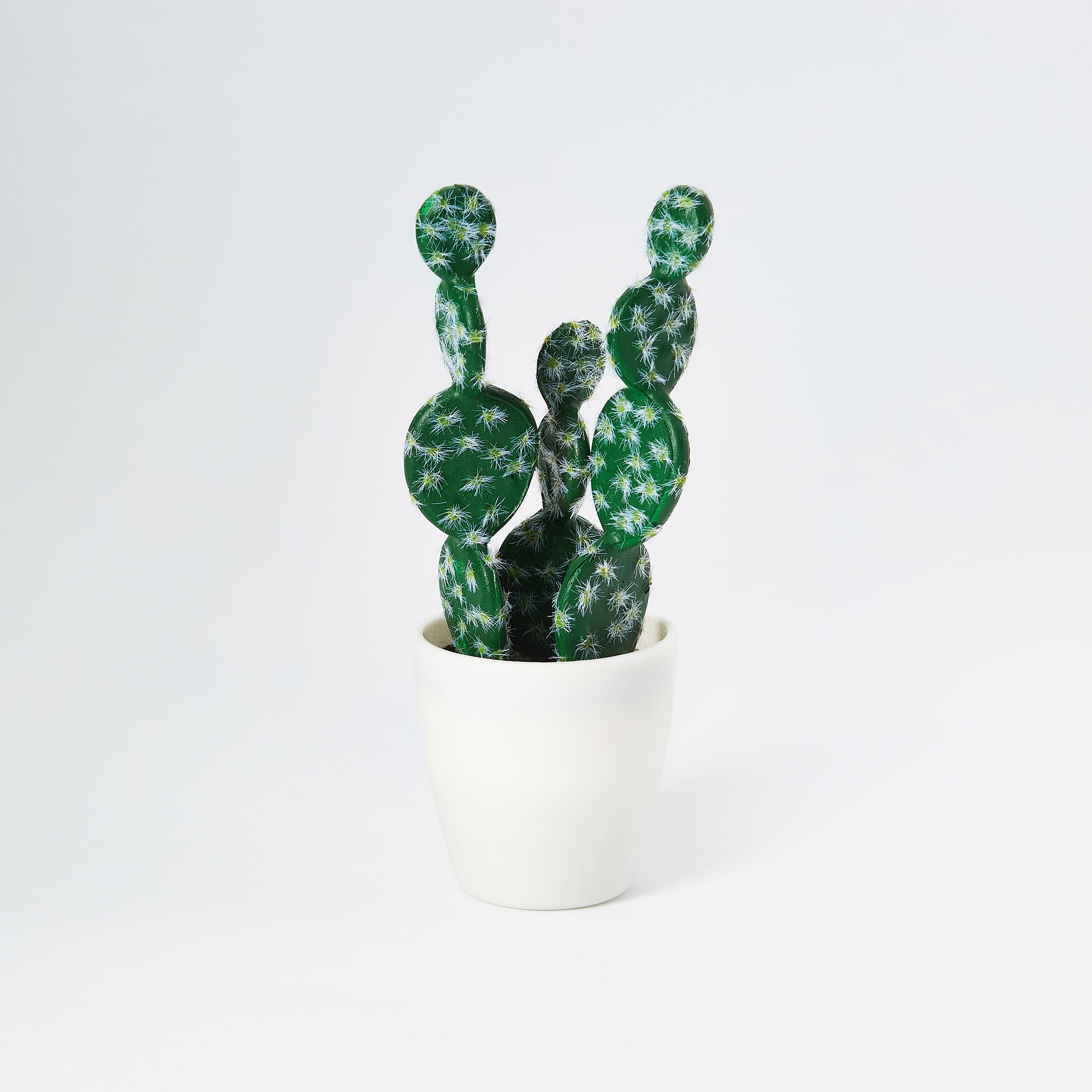 نبتة صبار من إيدينك - 22 سم-hbxdecorandfurnishings-homeaccessories-artificialflowersandplants-image-4