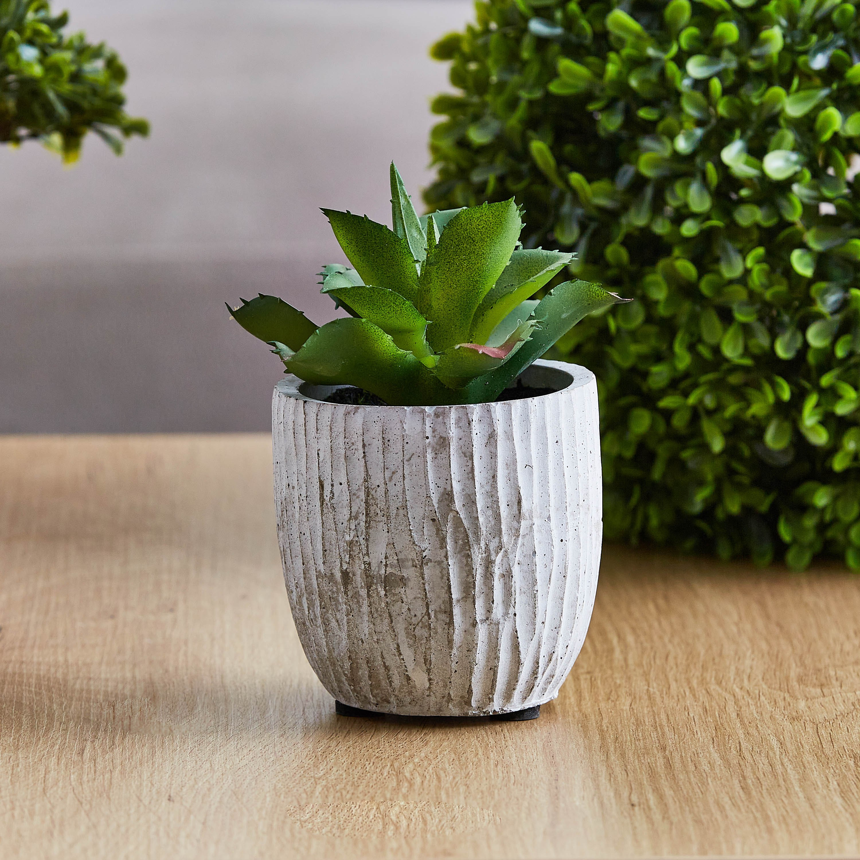 نبتة صغيرة من إيدينك - 15 سم-hbxdecorandfurnishings-homeaccessories-artificialflowersandplants-image-1