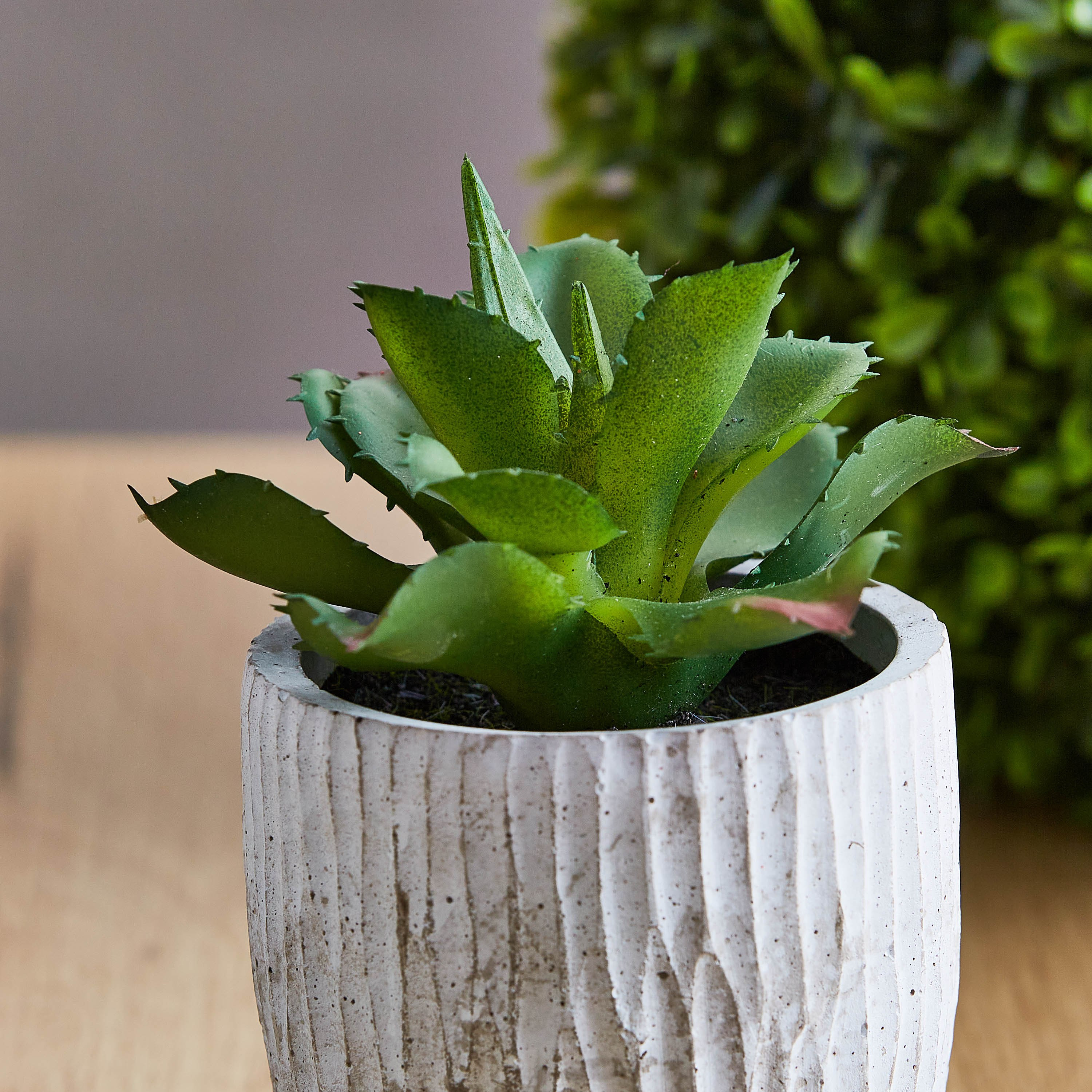 نبتة صغيرة من إيدينك - 15 سم-hbxdecorandfurnishings-homeaccessories-artificialflowersandplants-image-2