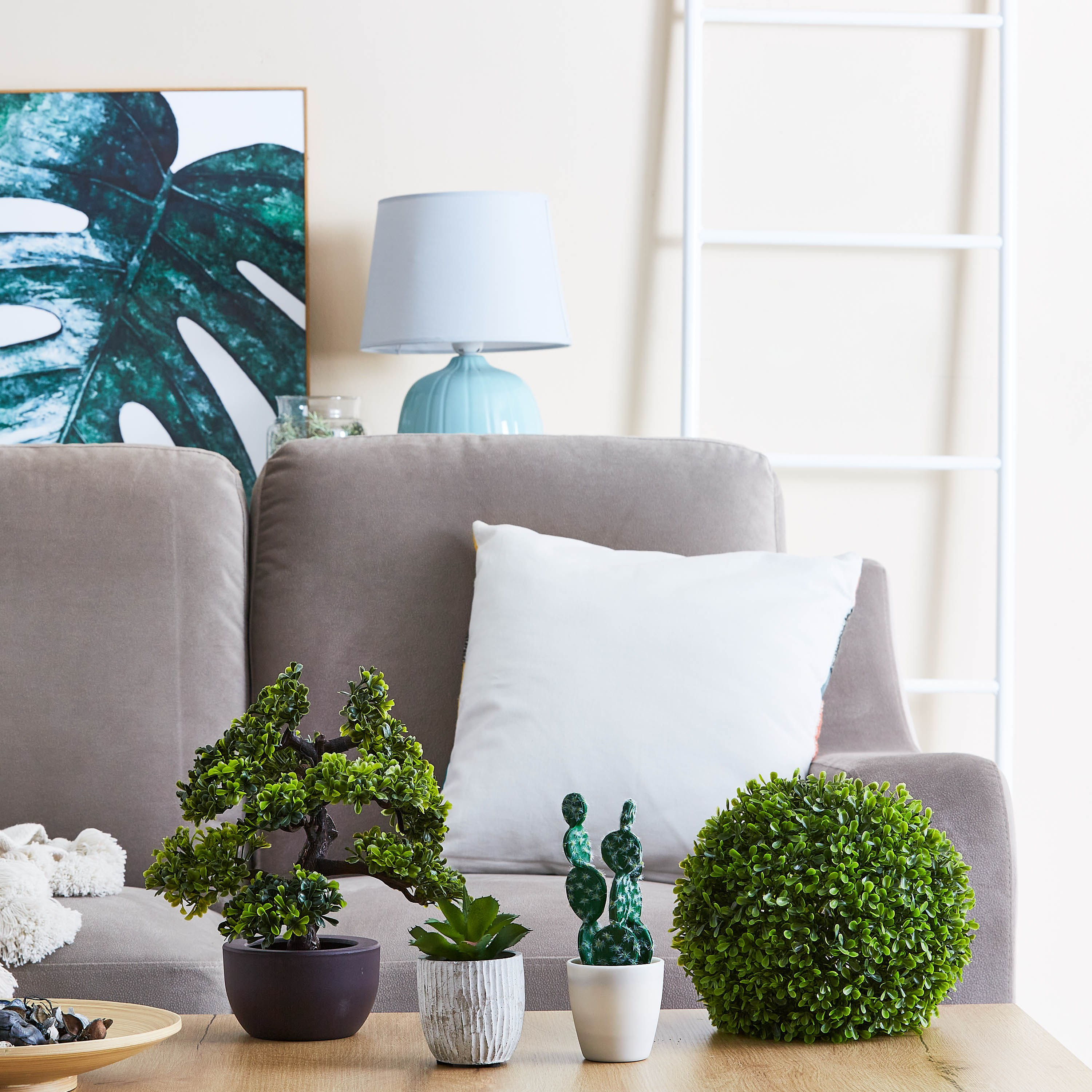 نبتة صغيرة من إيدينك - 15 سم-hbxdecorandfurnishings-homeaccessories-artificialflowersandplants-image-3