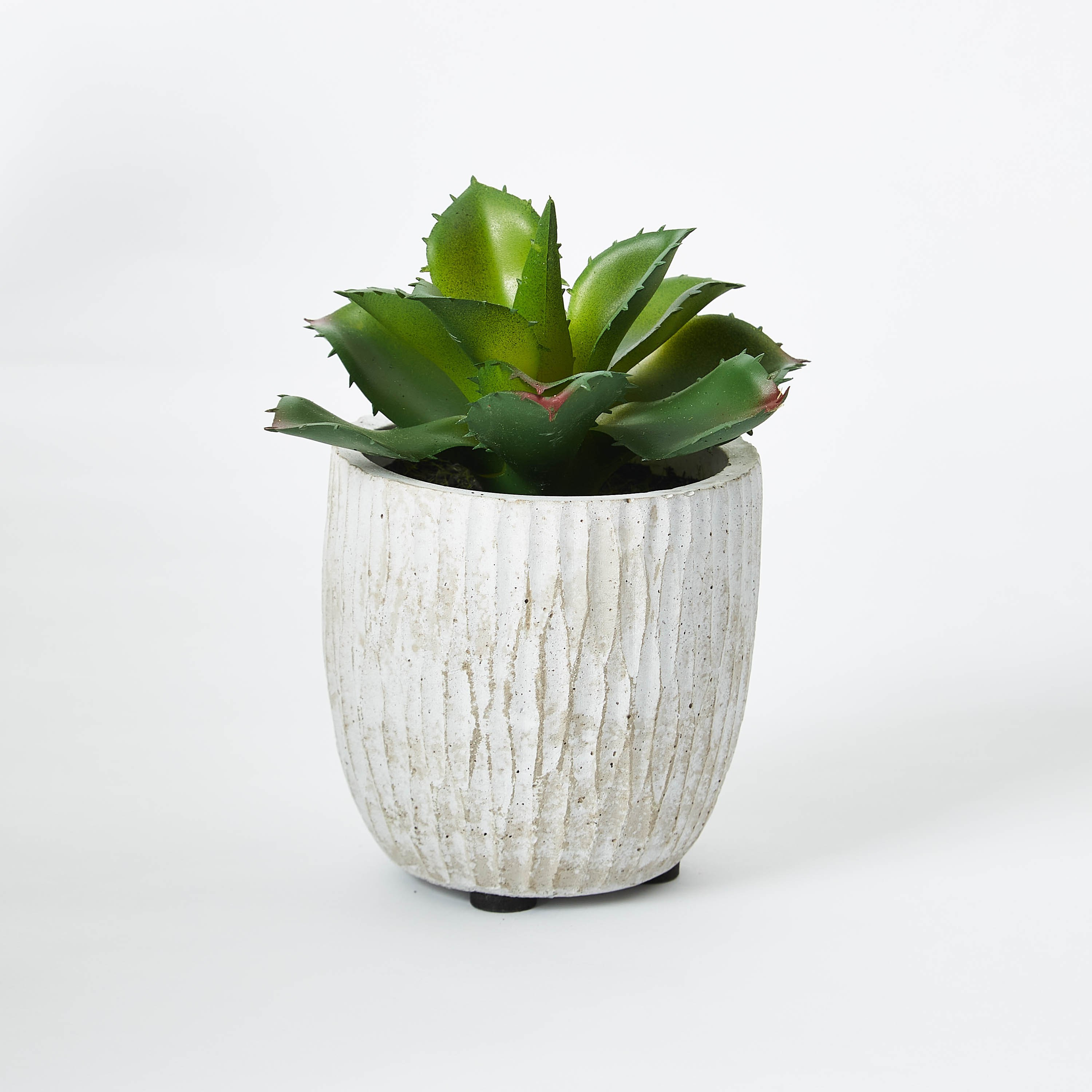 نبتة صغيرة من إيدينك - 15 سم-hbxdecorandfurnishings-homeaccessories-artificialflowersandplants-image-4